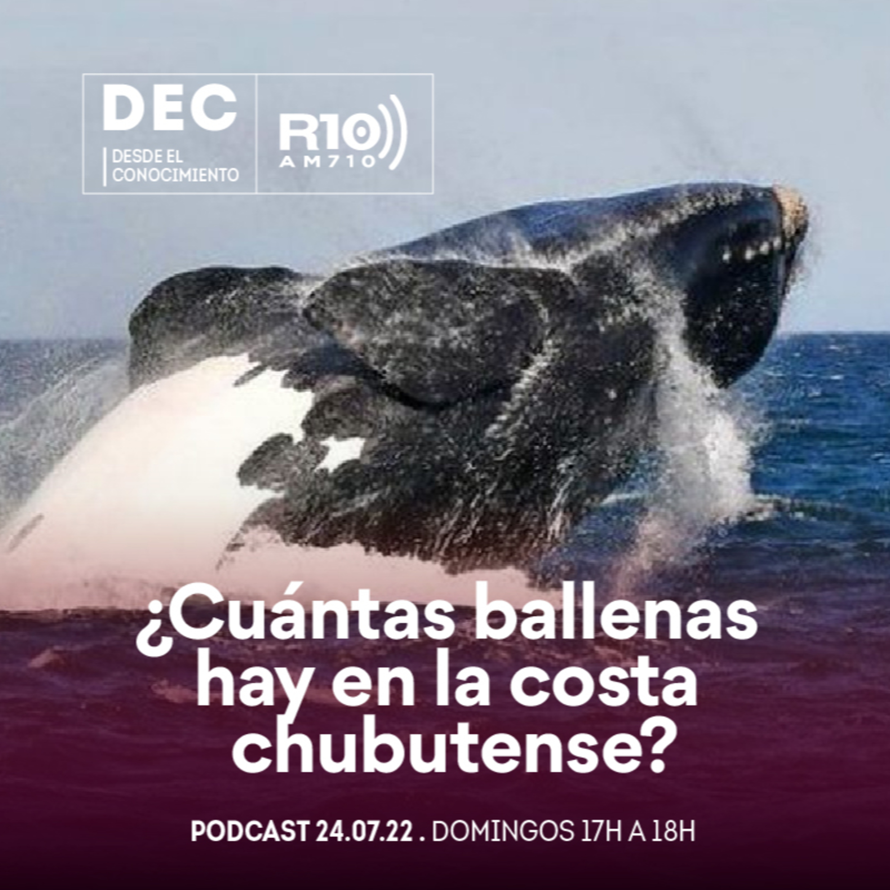 Desde el conocimiento