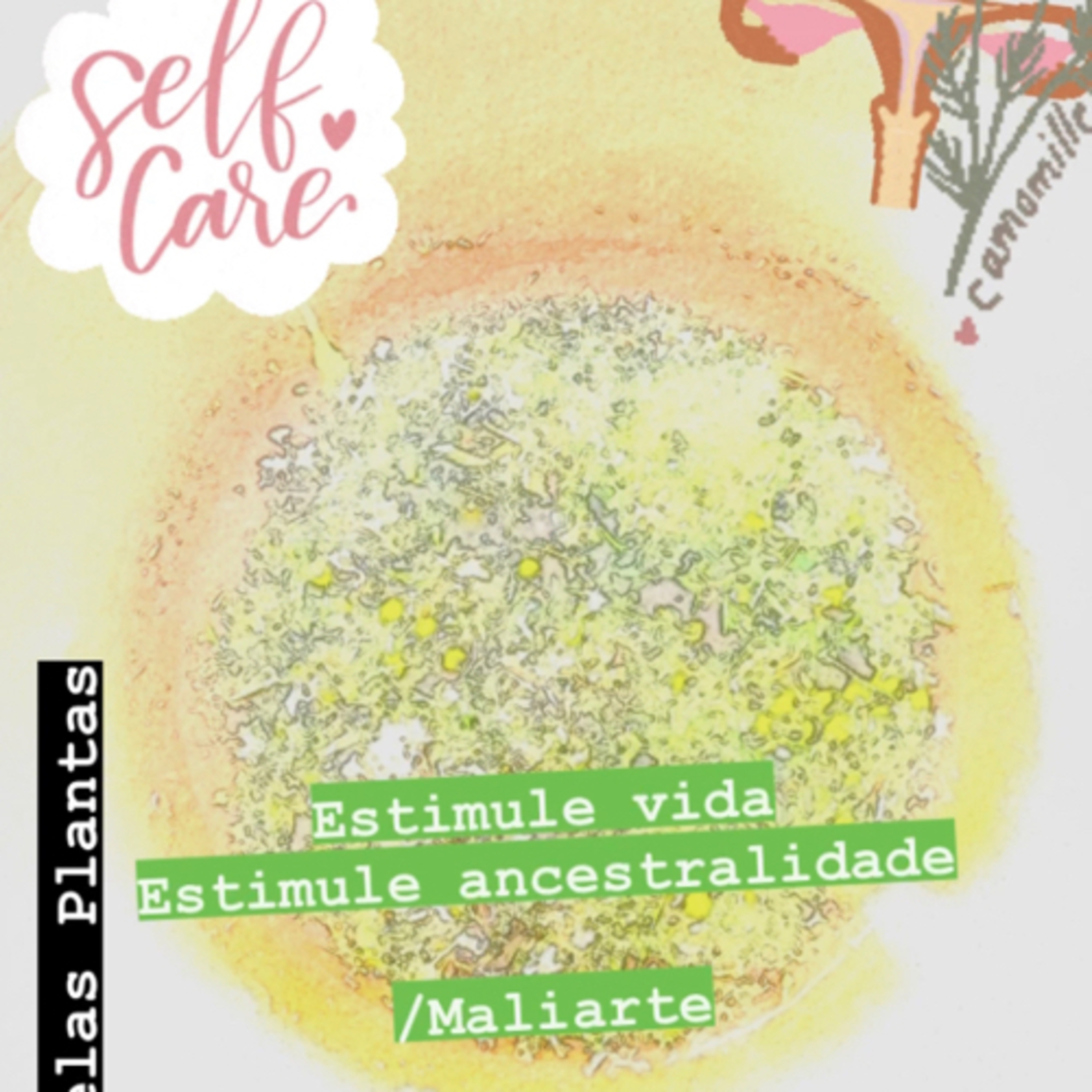 Maliarte