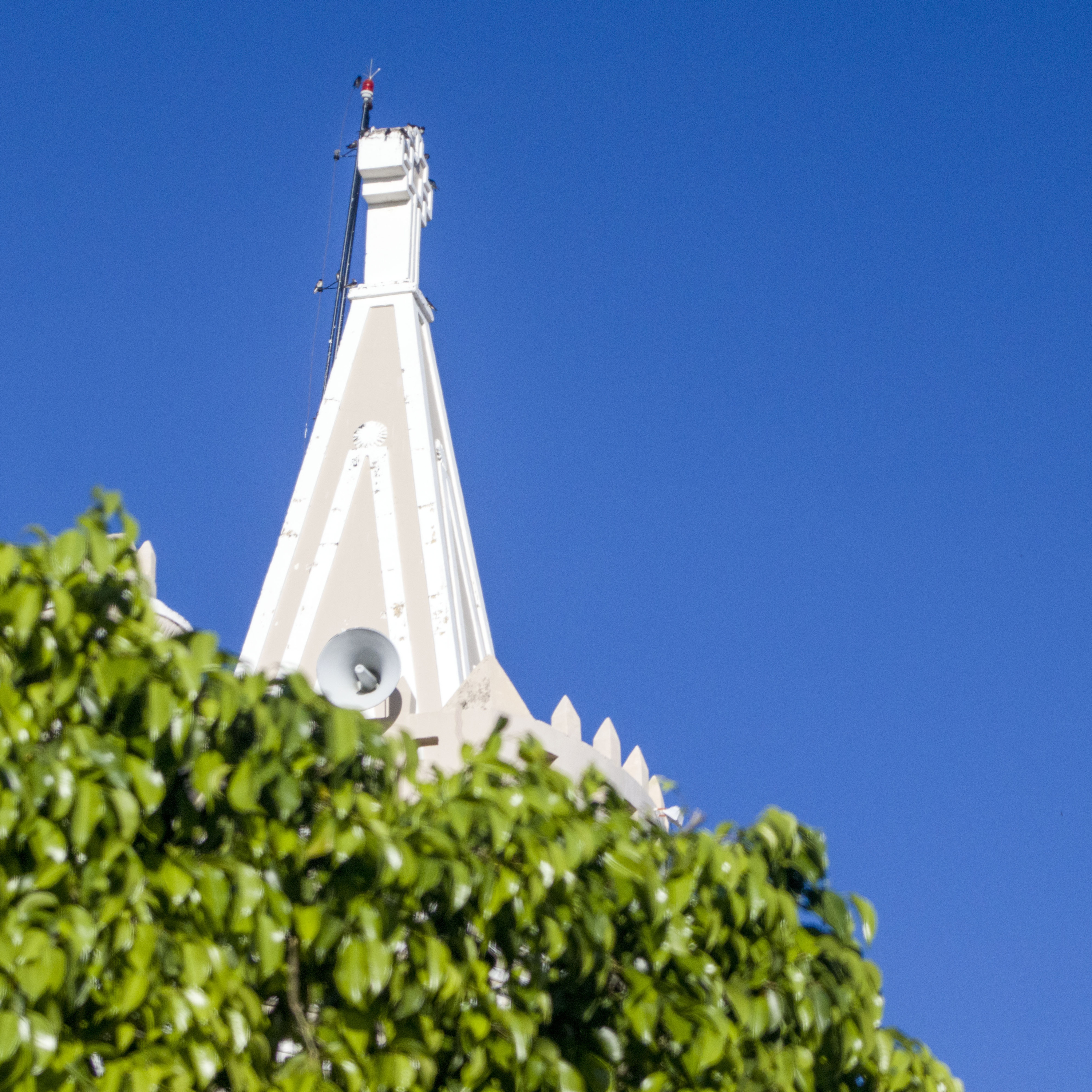 Soprando ao vendo Bob Dylan