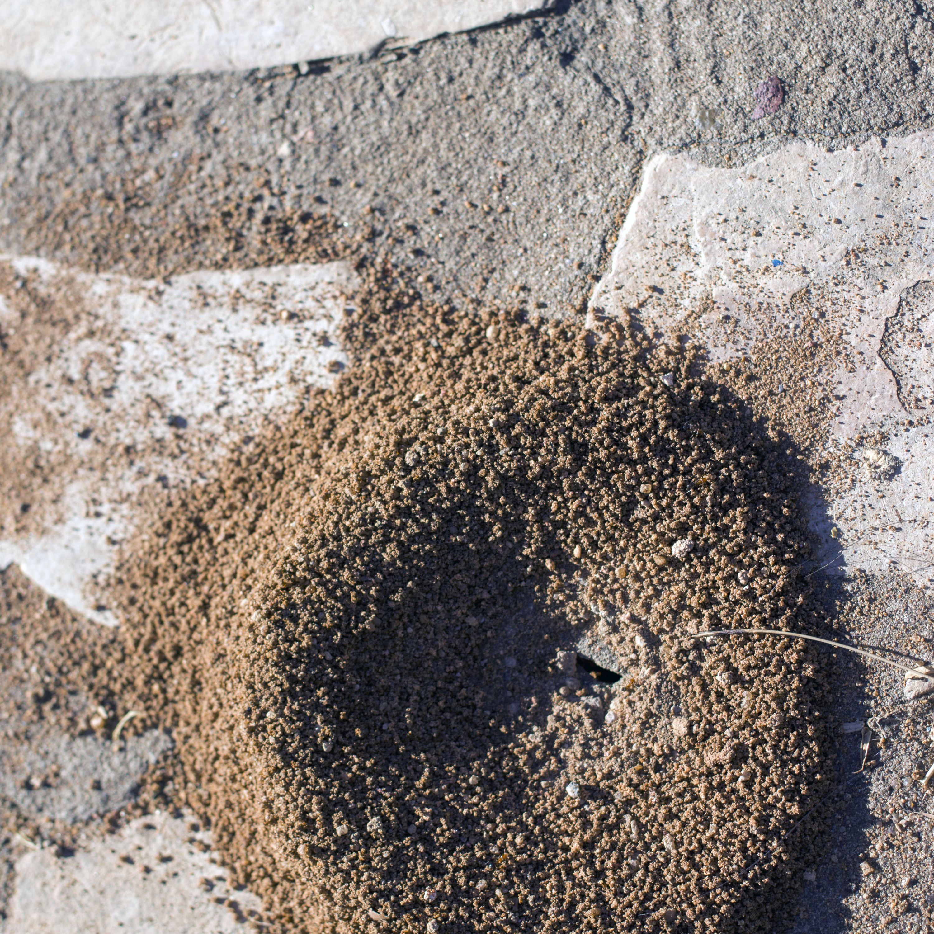 A esmola Pe.Antonio Tomás