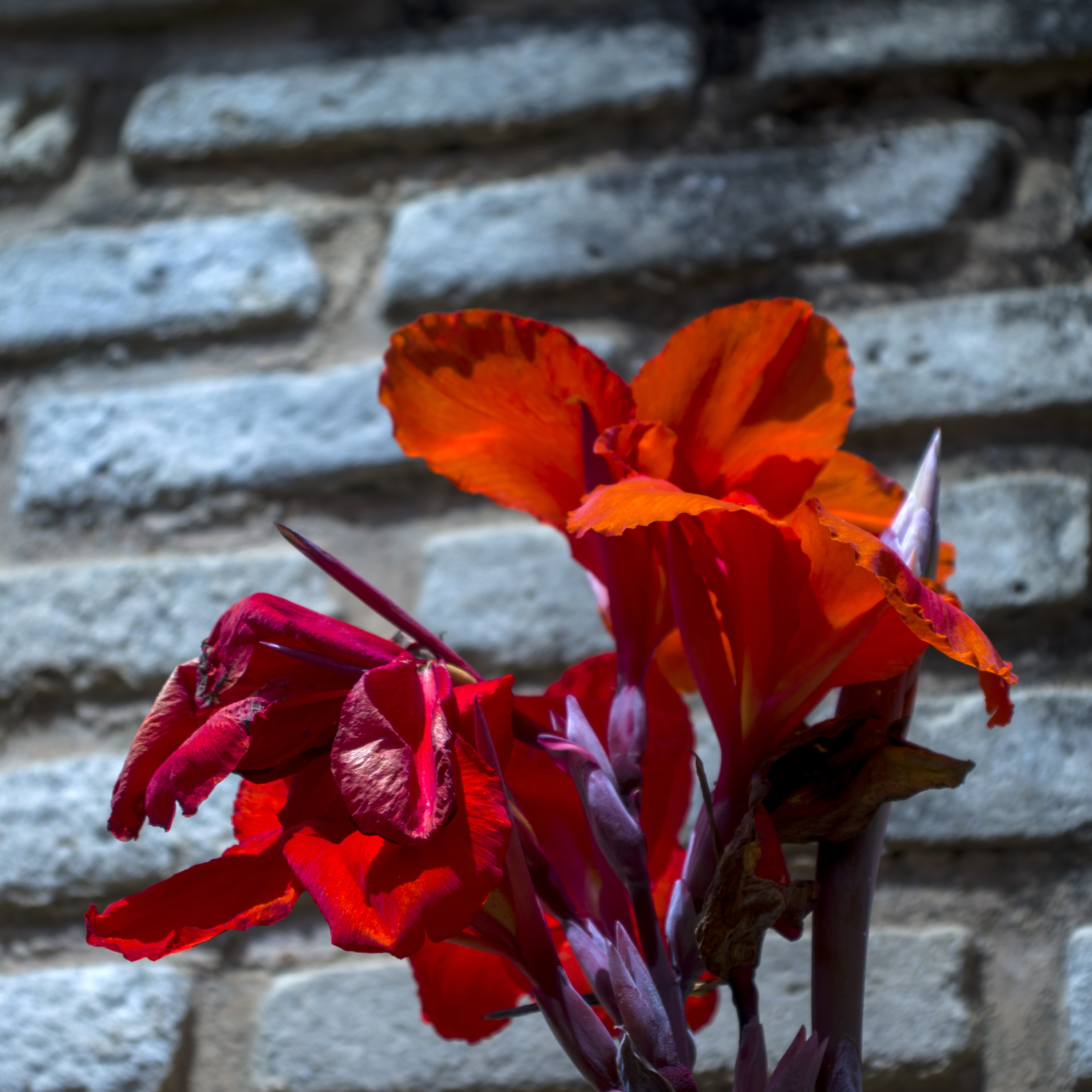 Preludio Pra Ninar Gente Grande Luiz Vieira