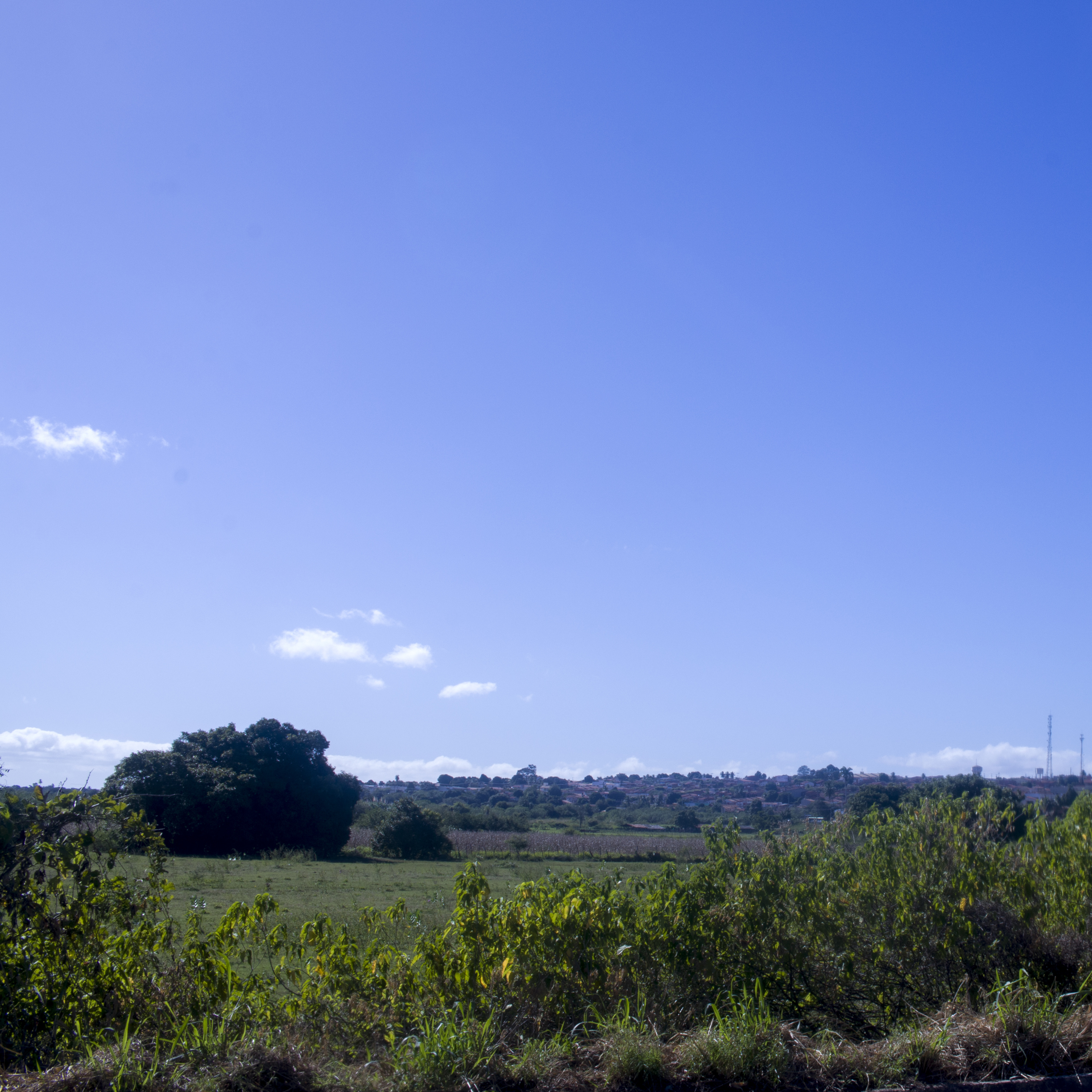 Pra ninar o Cariri - Abidoral Jamacaru