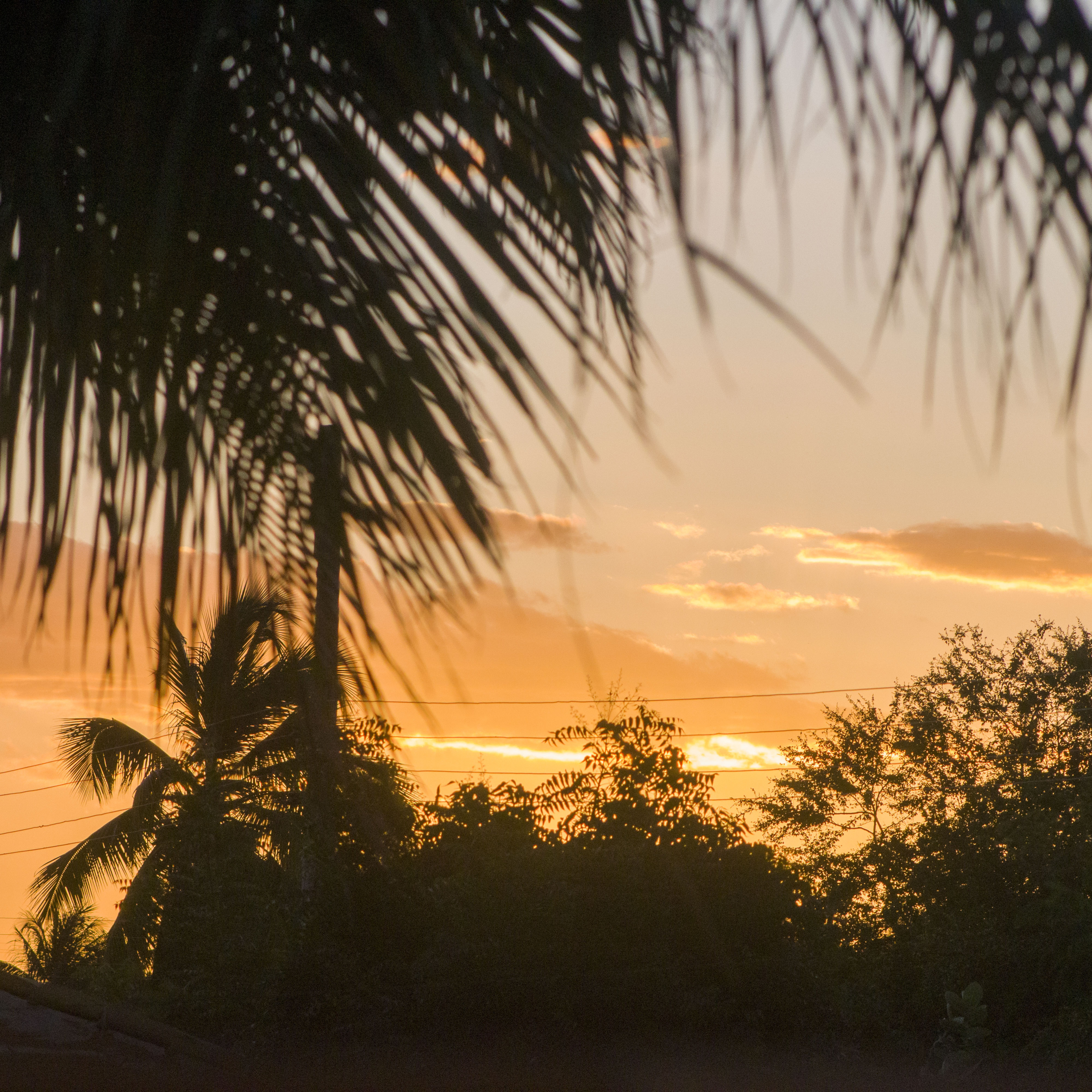 Amarcura Paulo Eduardo