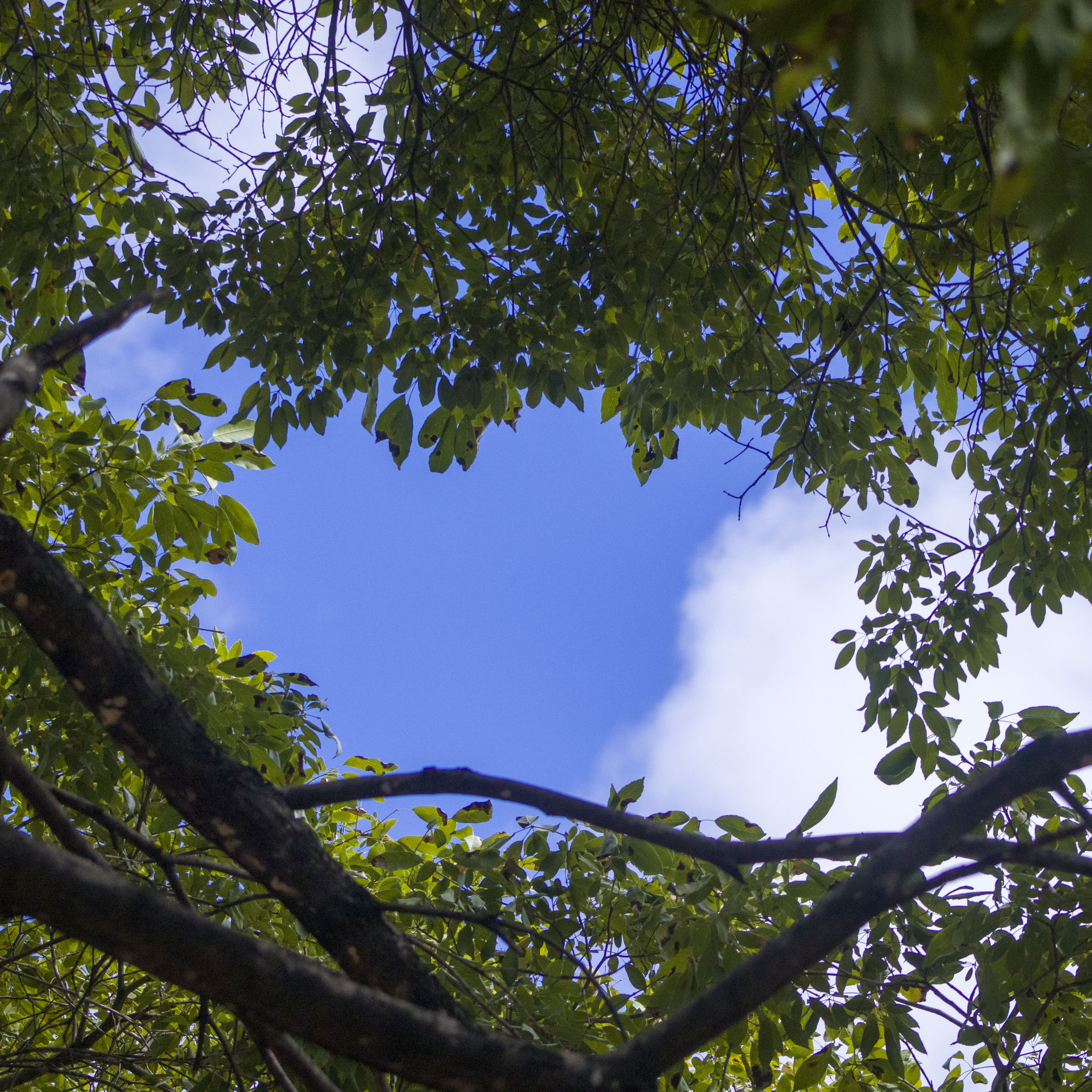 Sem mandamentos Oswaldo Montenegro
