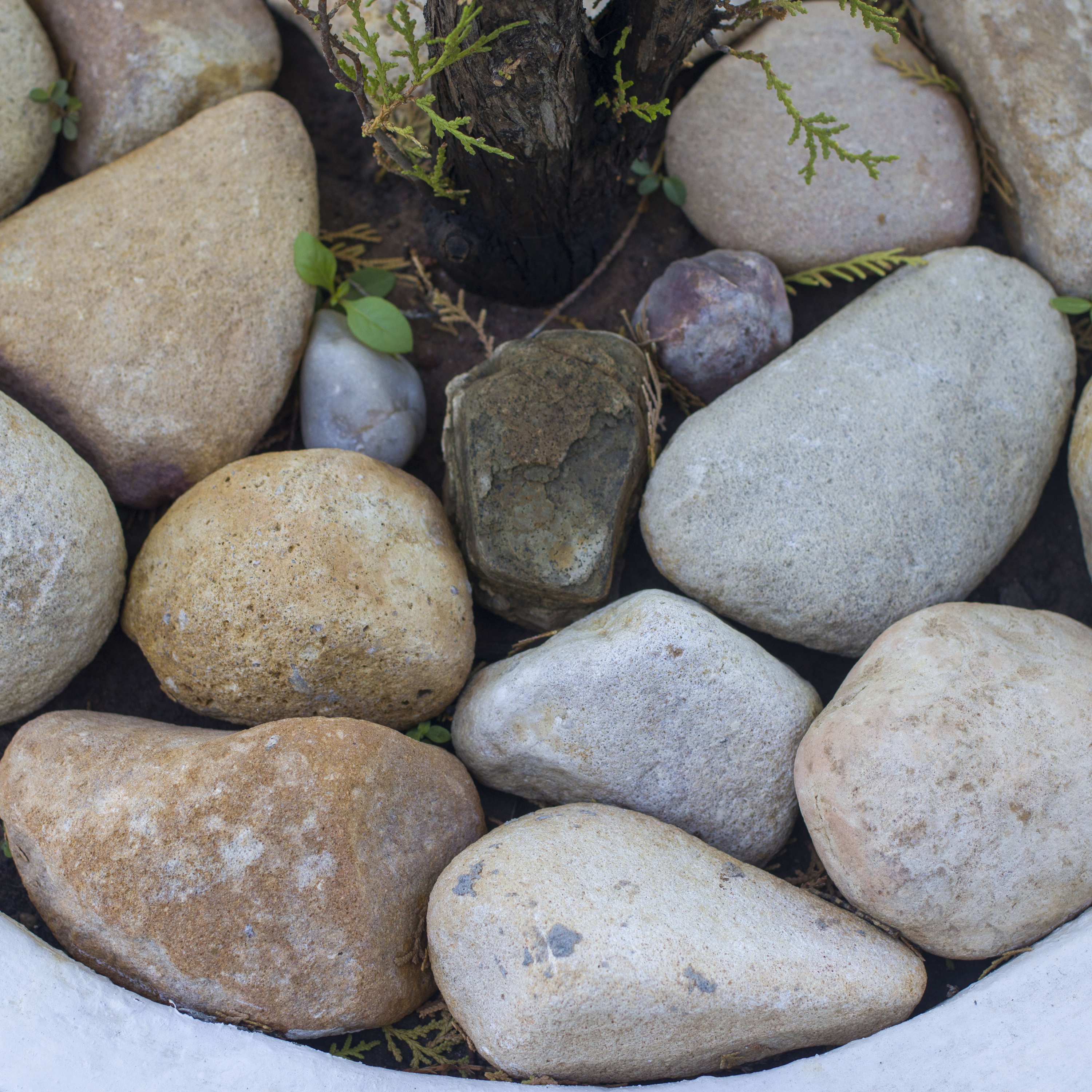 Os mortos Ferreira Gullar