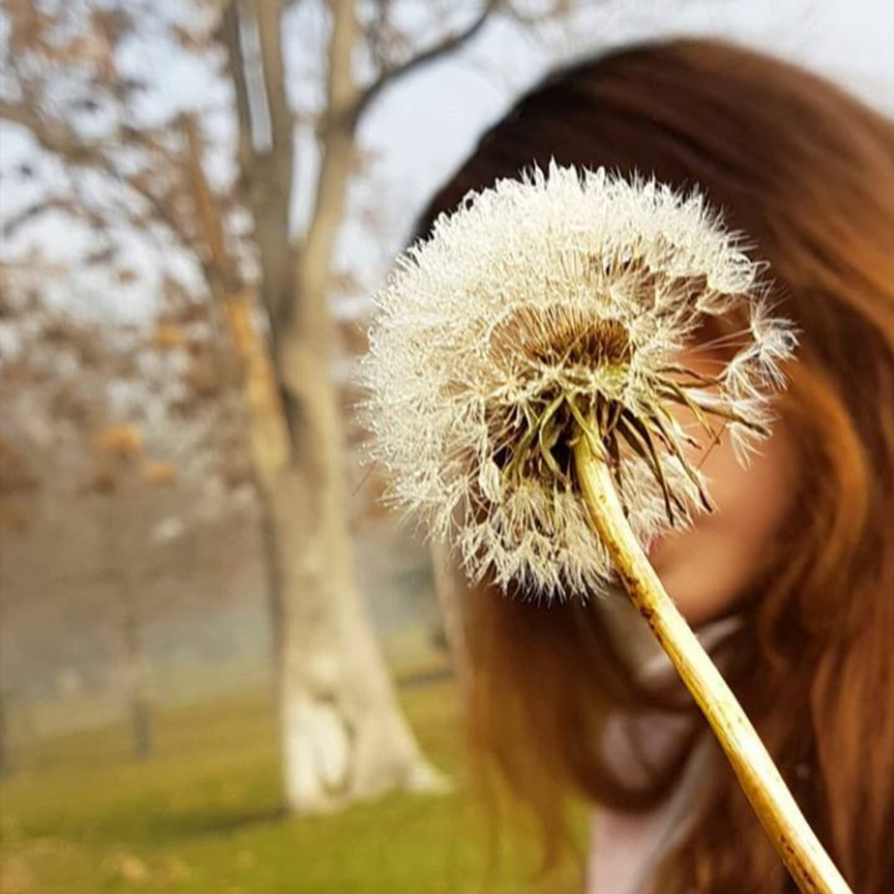کاور دلم به بوی تو آغشته است
