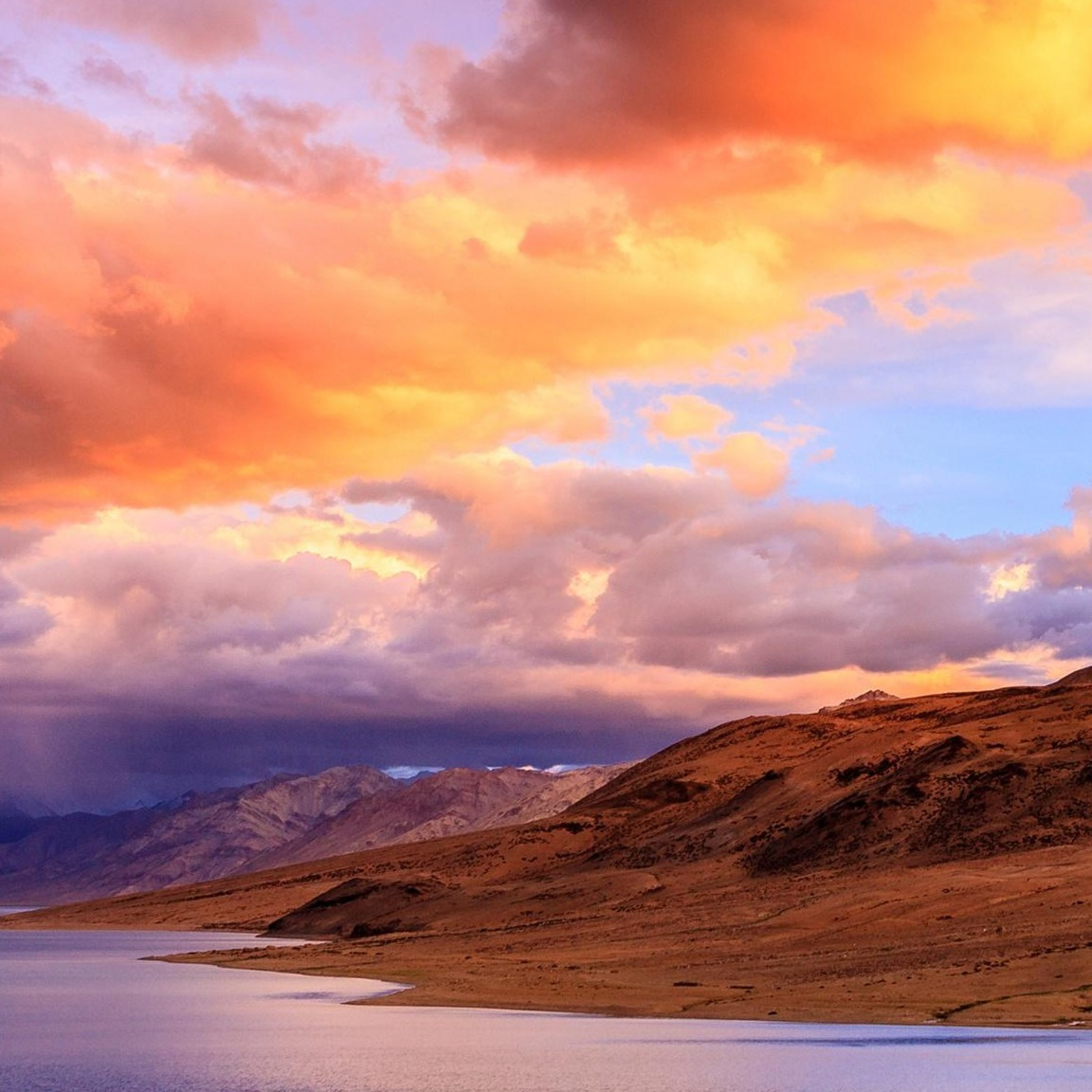 Servicio al cliente. episode artwork