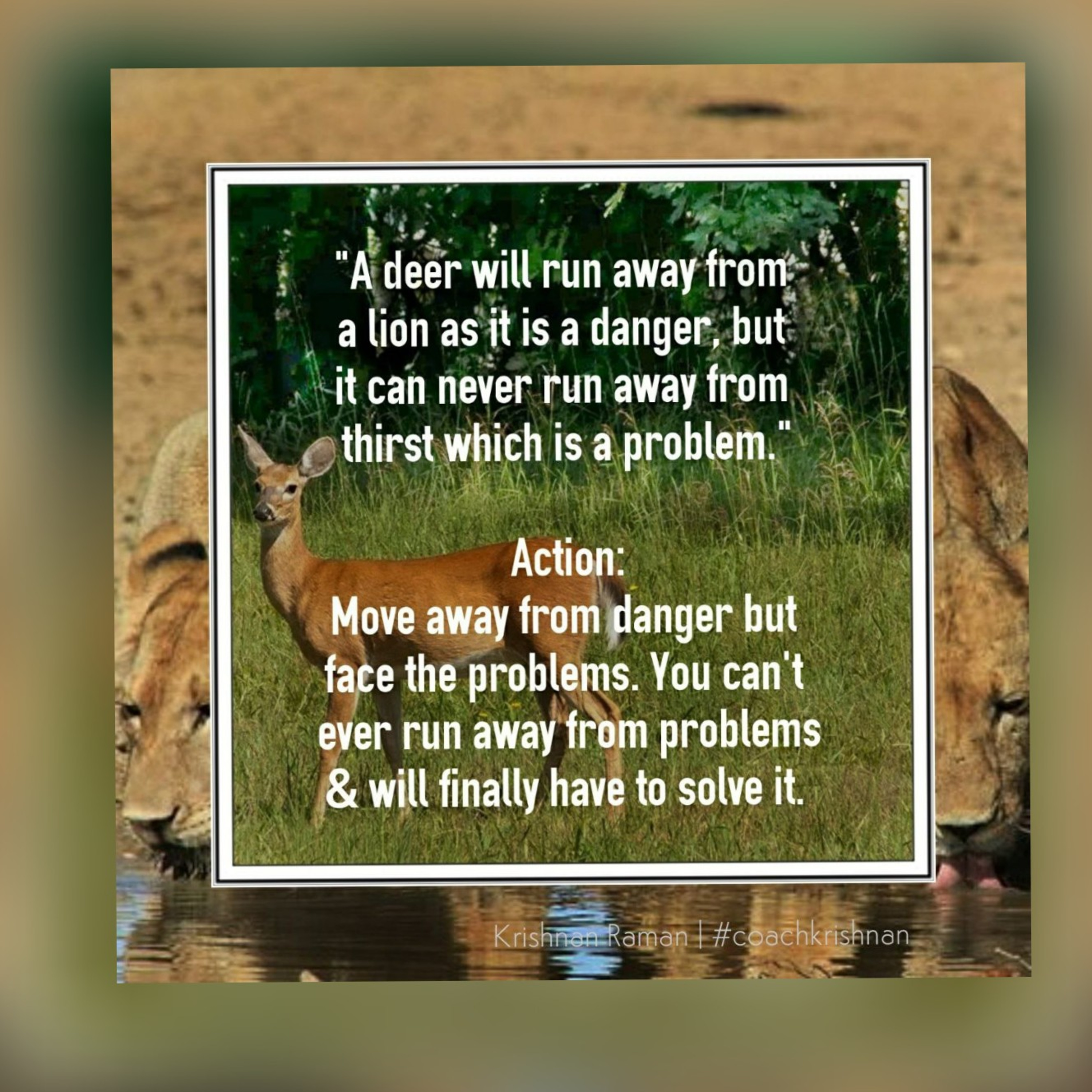DC Podcasts: \'Quotes by Coach Krish\'