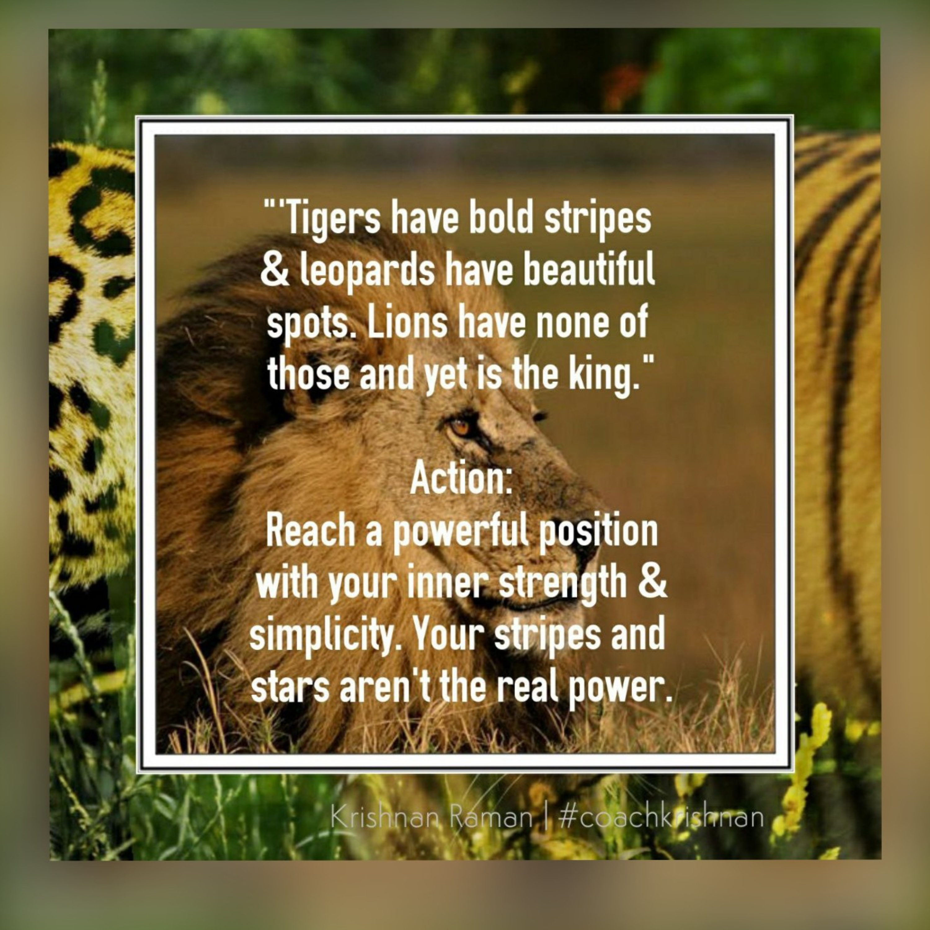 DC Podcasts: \'Quotes by Coach Krish\'