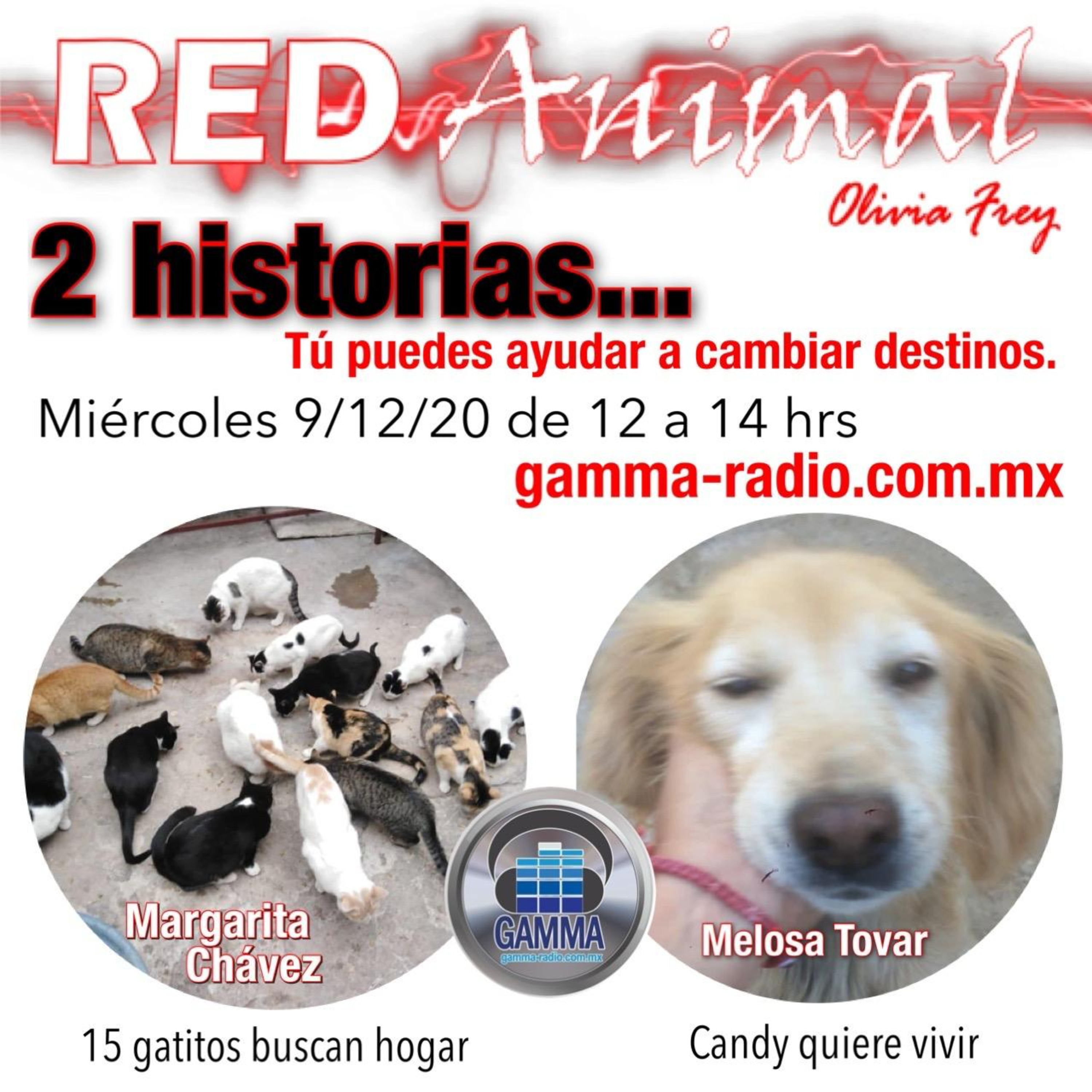 RED ANIMAL CON OLIVIA FREY