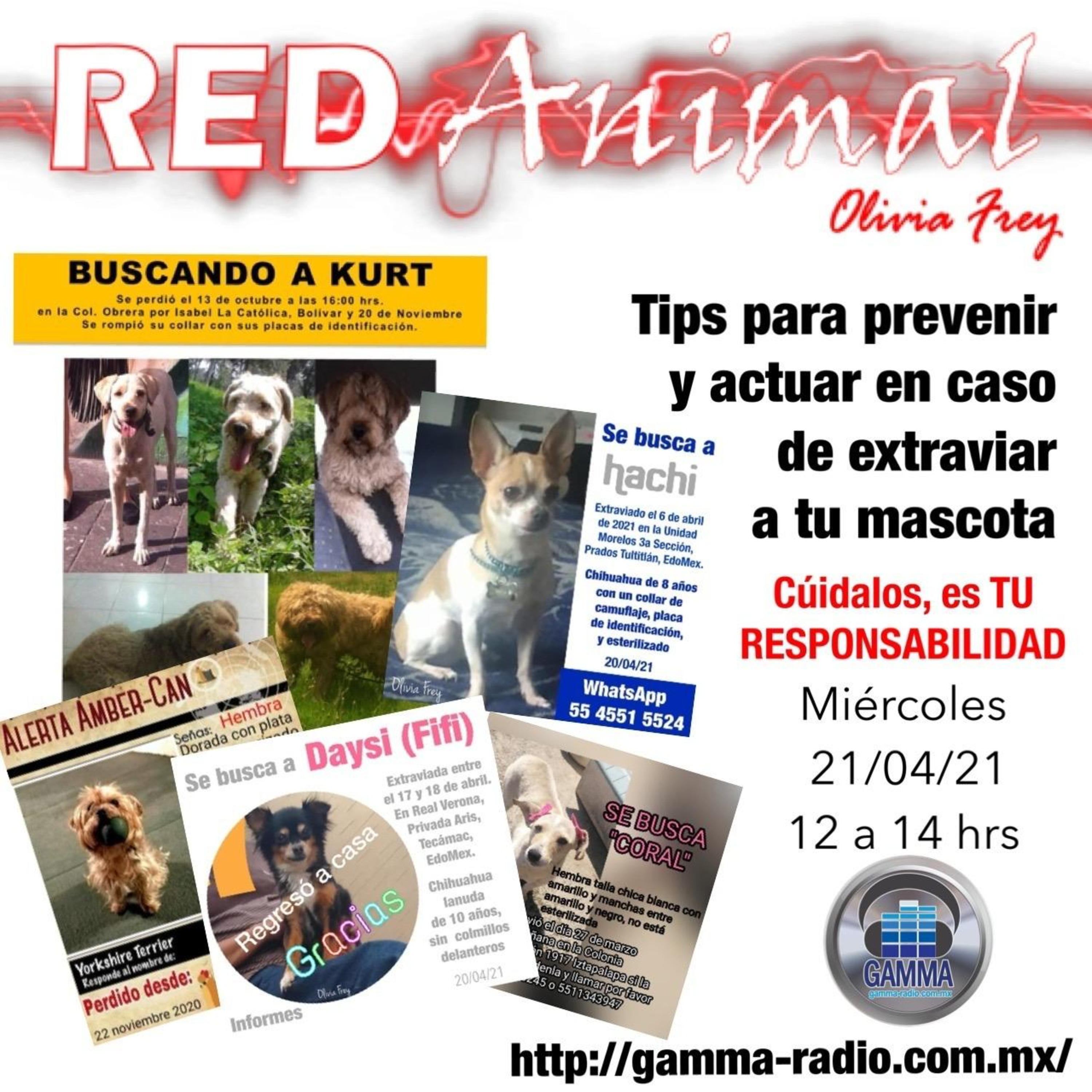 RED ANIMAL CON OLIVIA FREY