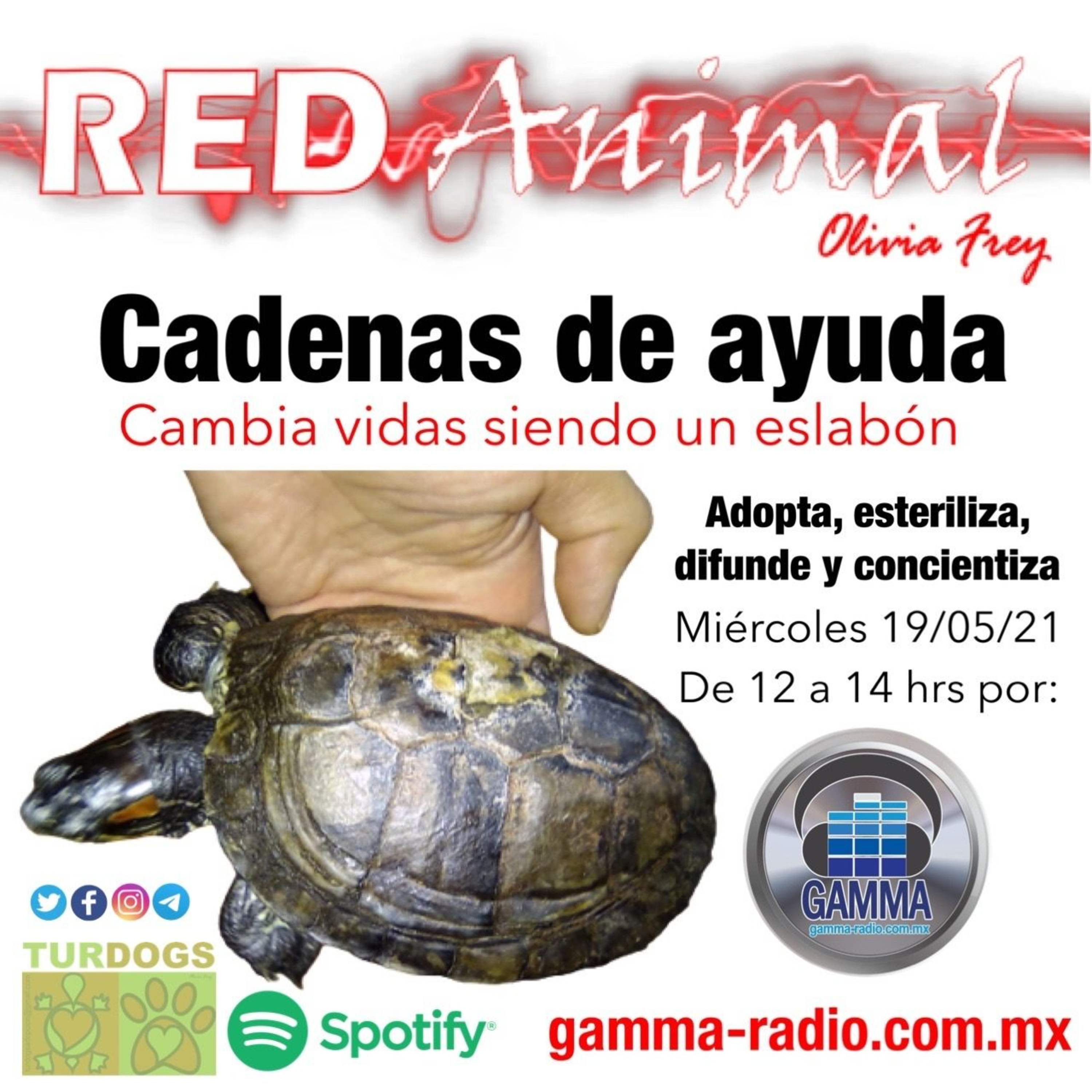 RED ANIMAL CON OLIVIA FREY