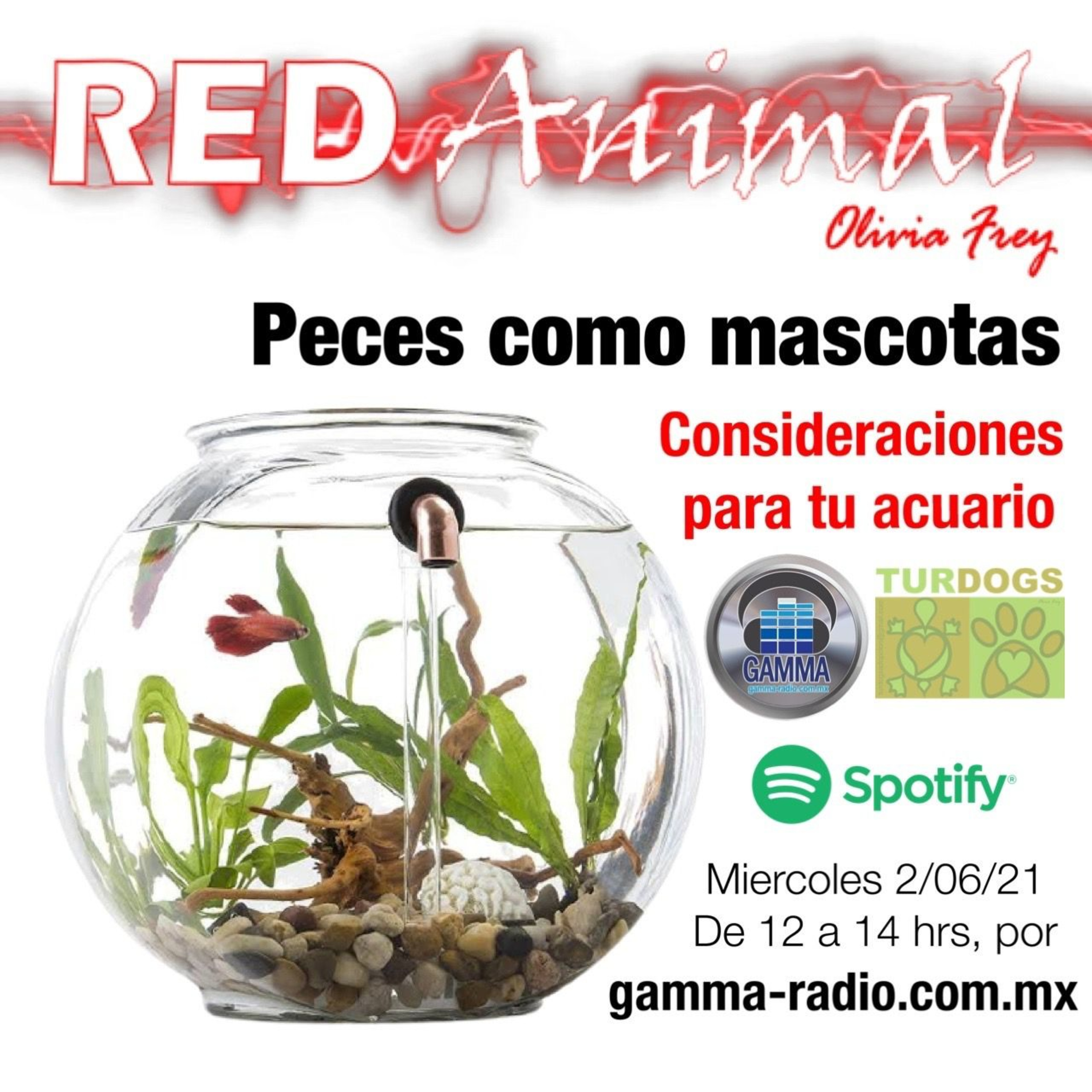 RED ANIMAL CON OLIVIA FREY