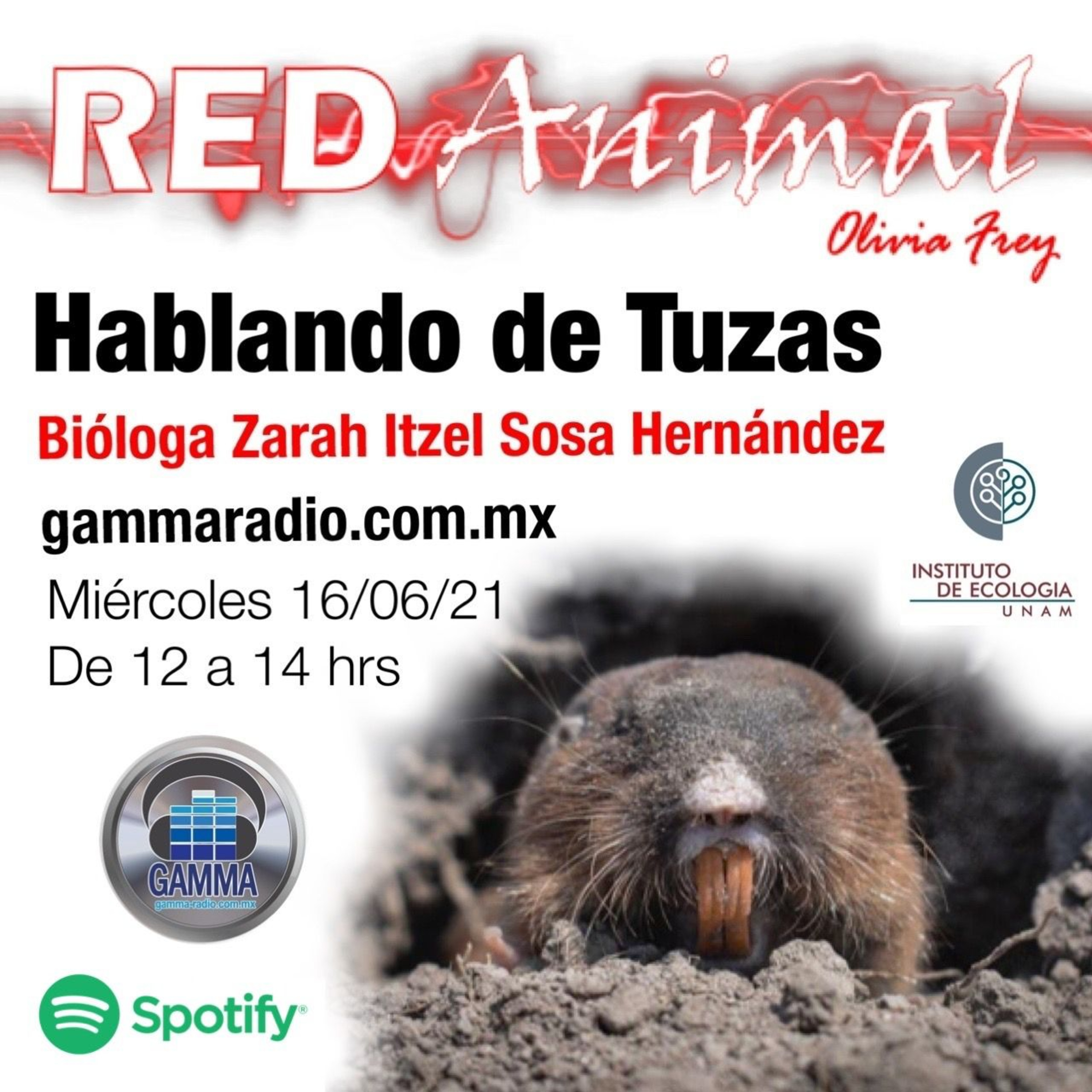 RED ANIMAL CON OLIVIA FREY