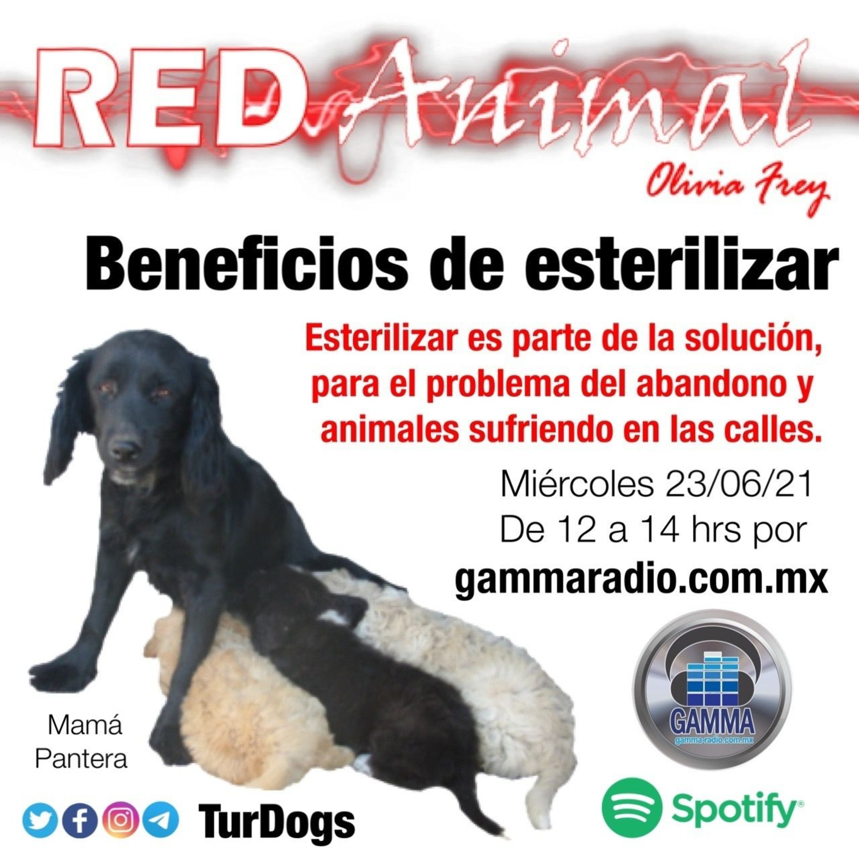 RED ANIMAL CON OLIVIA FREY