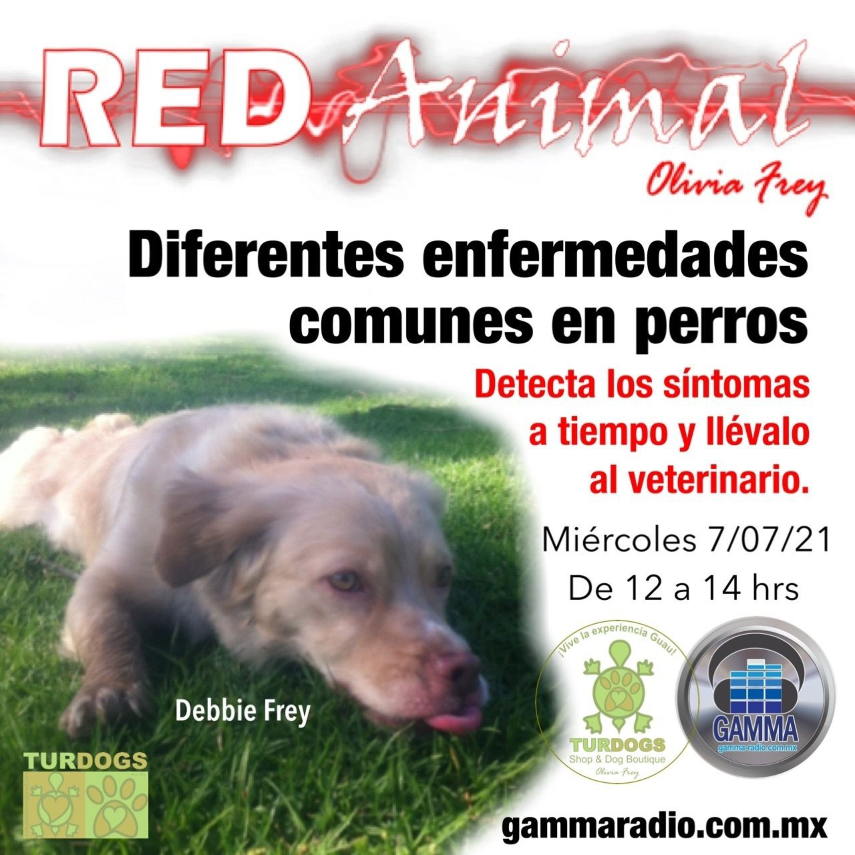 RED ANIMAL CON OLIVIA FREY