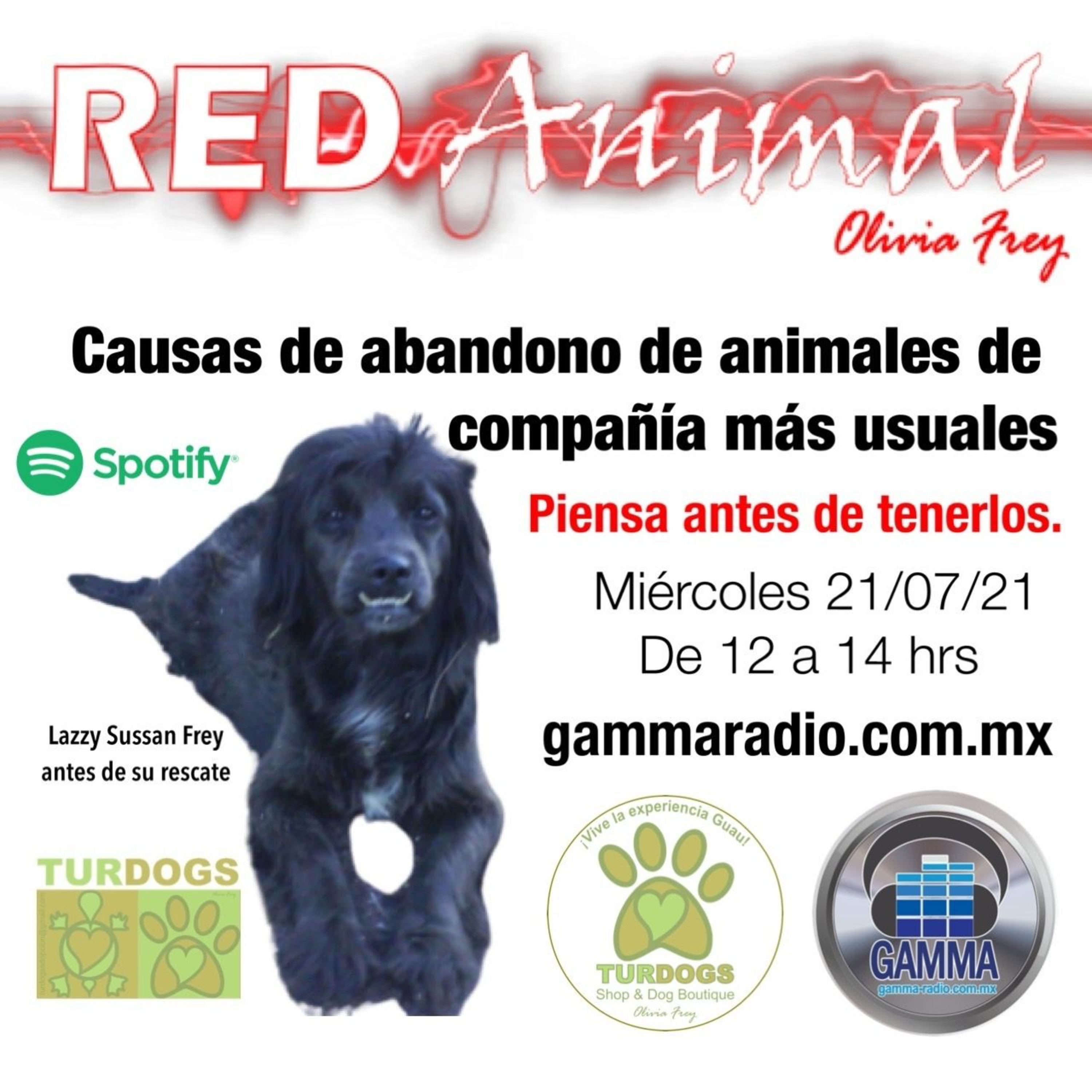 RED ANIMAL CON OLIVIA FREY
