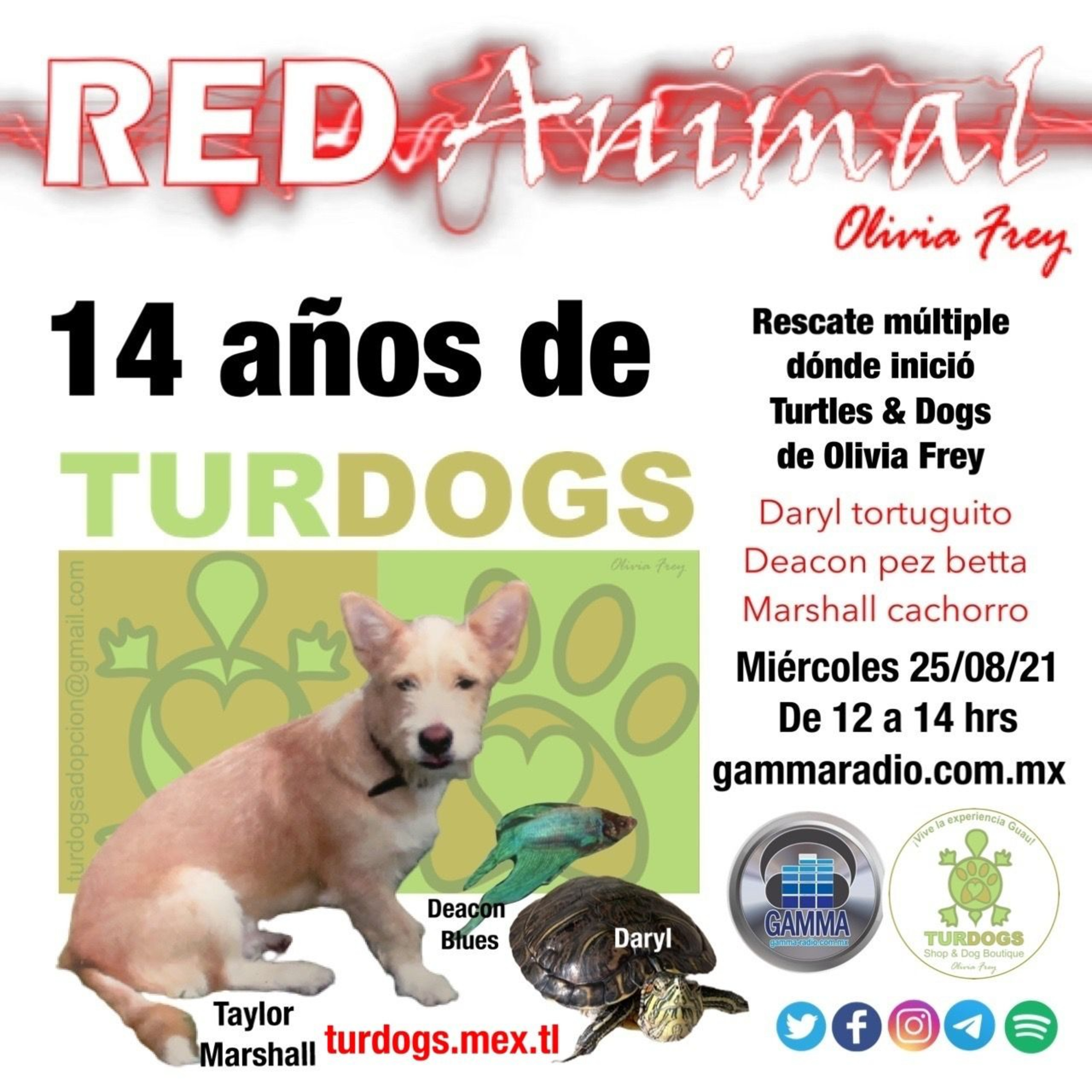 RED ANIMAL CON OLIVIA FREY