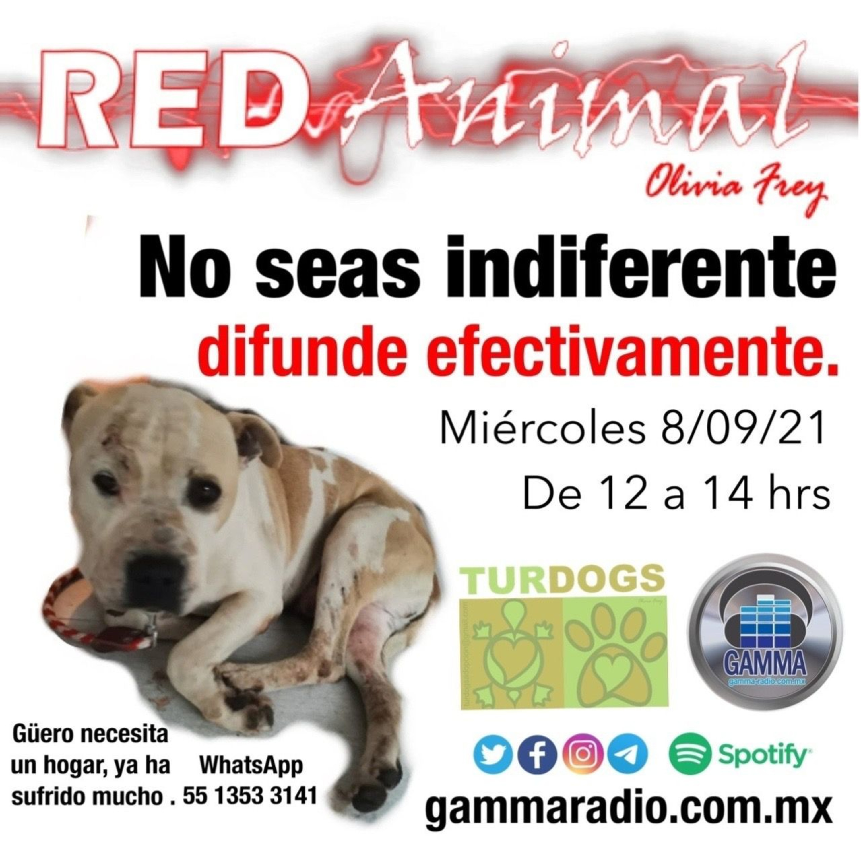 RED ANIMAL CON OLIVIA FREY