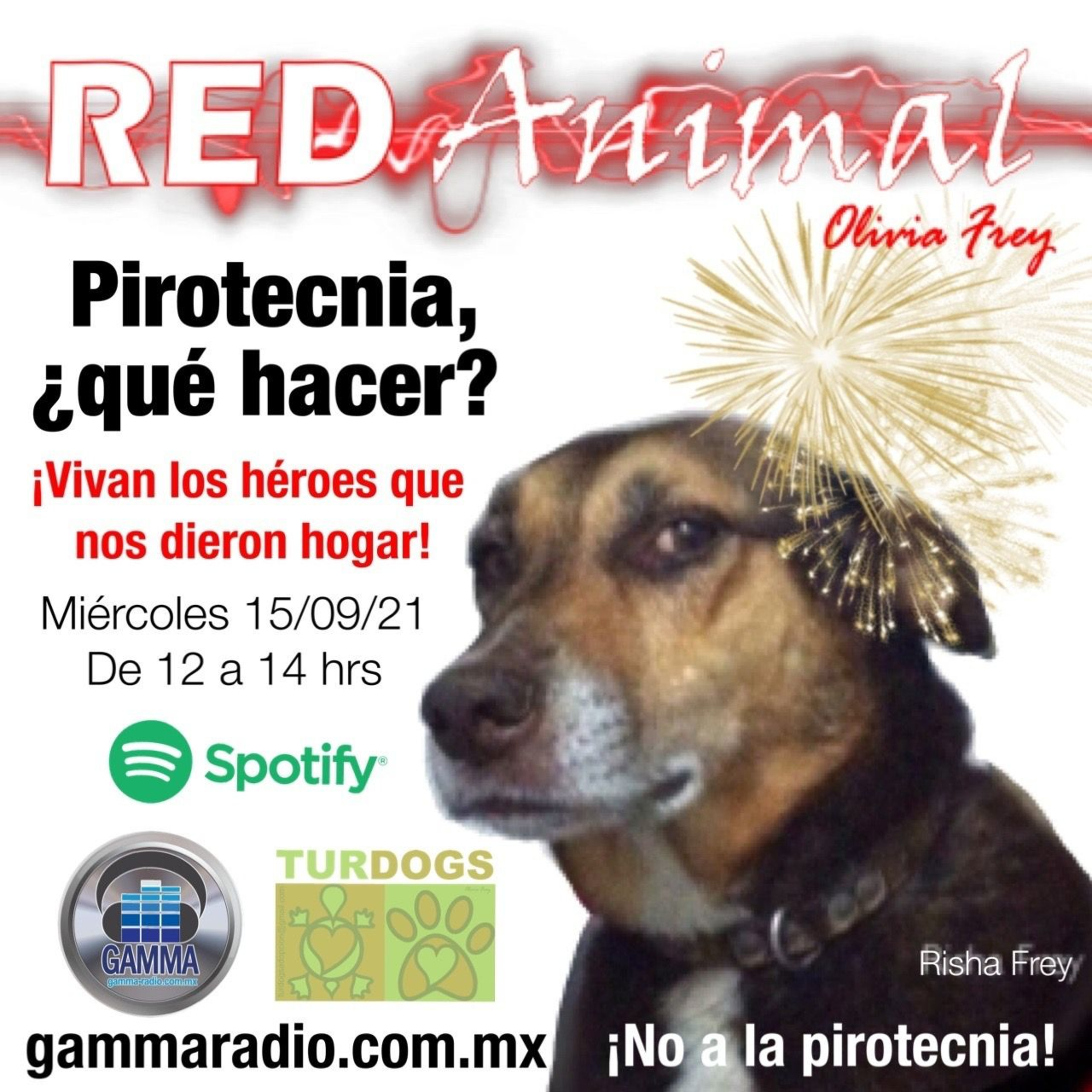 RED ANIMAL CON OLIVIA FREY