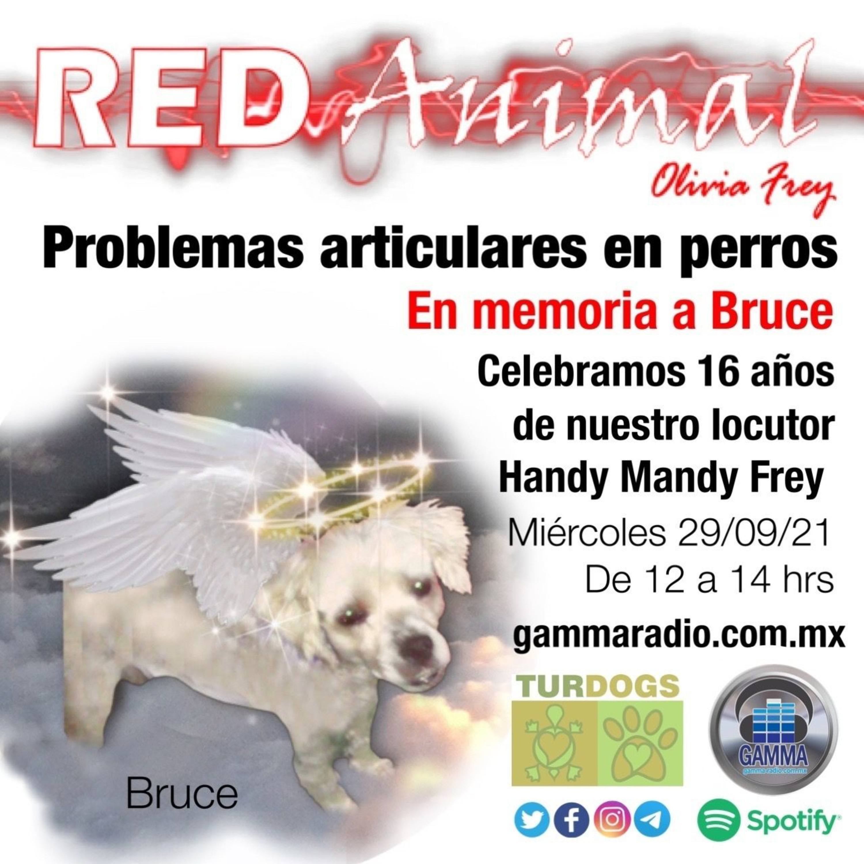 RED ANIMAL CON OLIVIA FREY