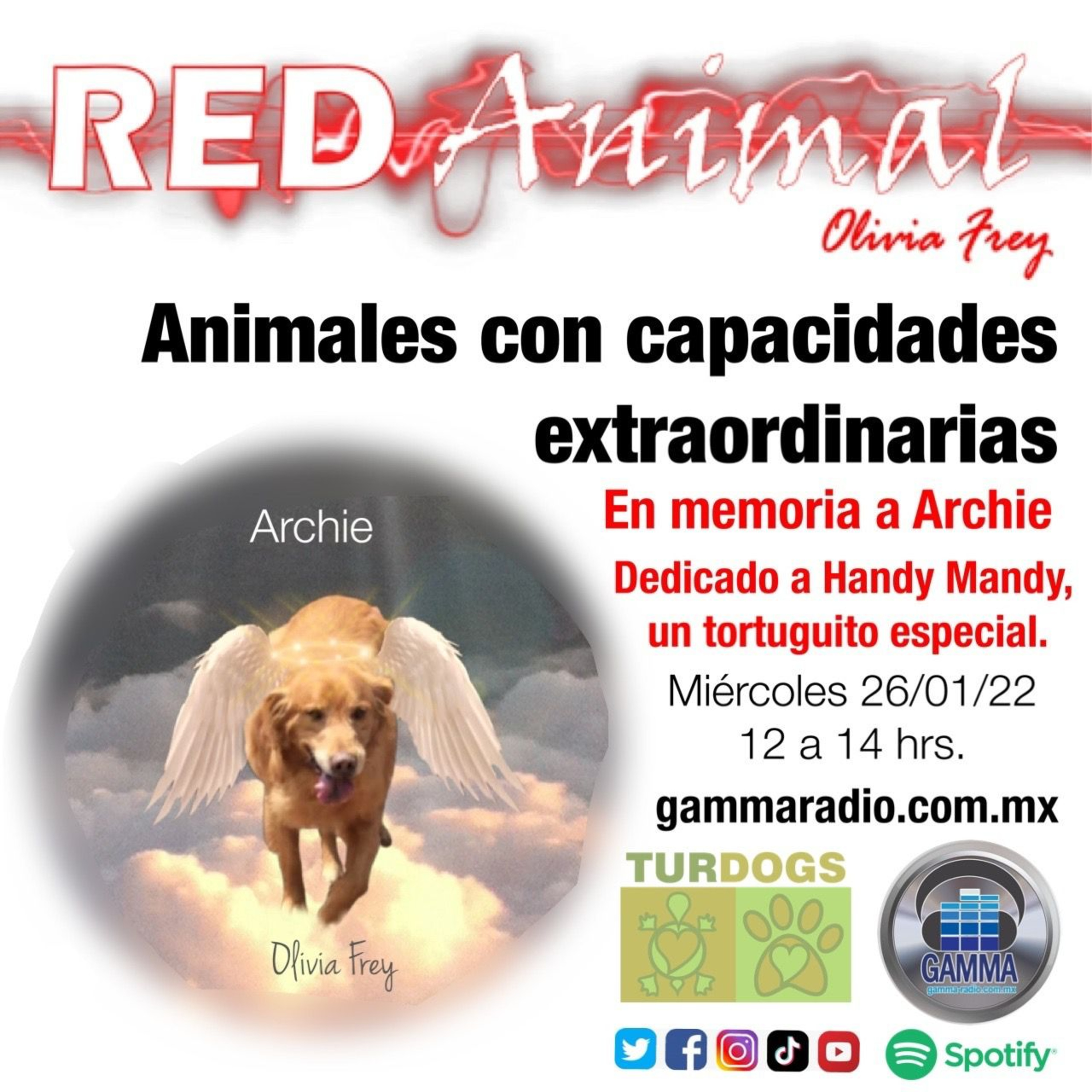 RED ANIMAL CON OLIVIA FREY