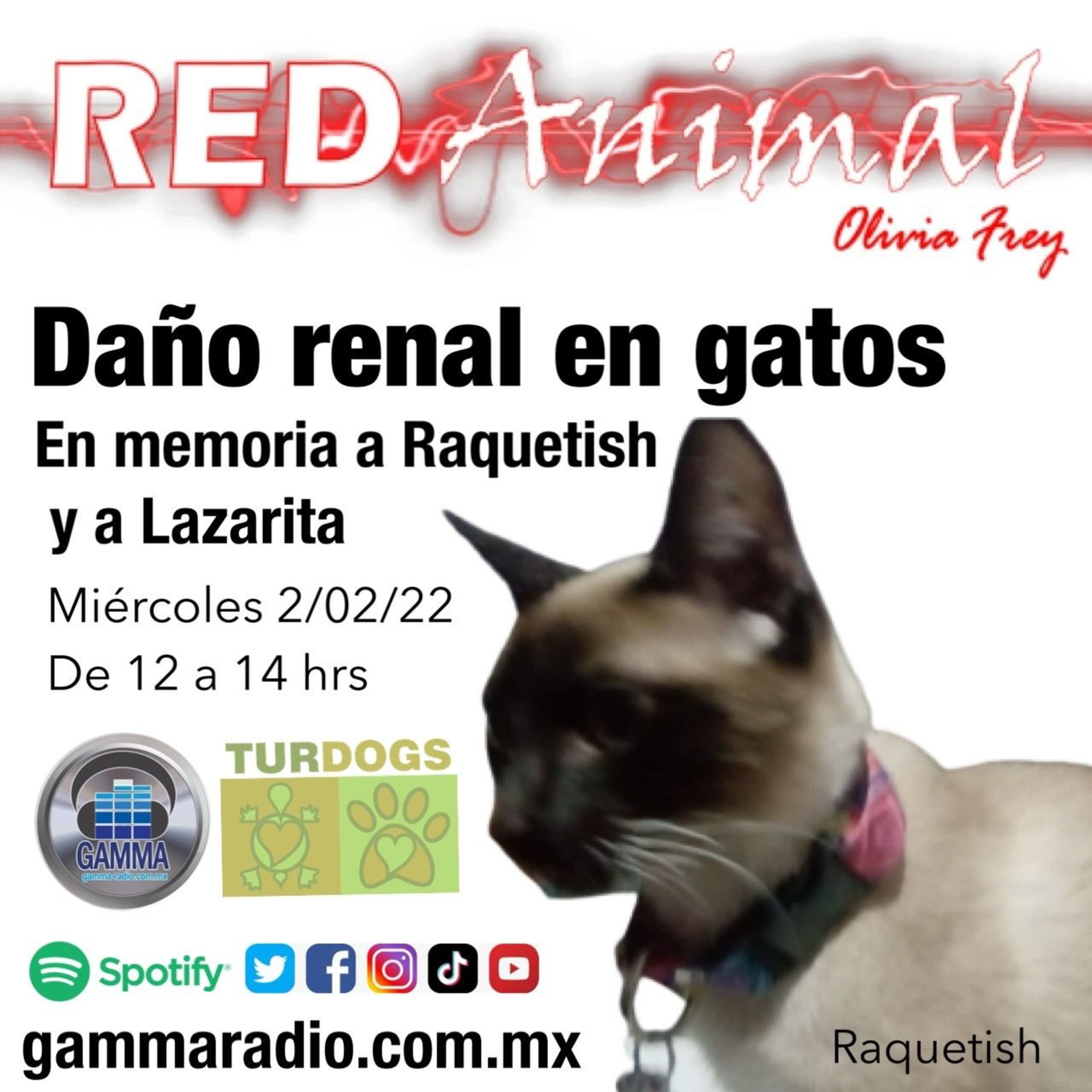 RED ANIMAL CON OLIVIA FREY