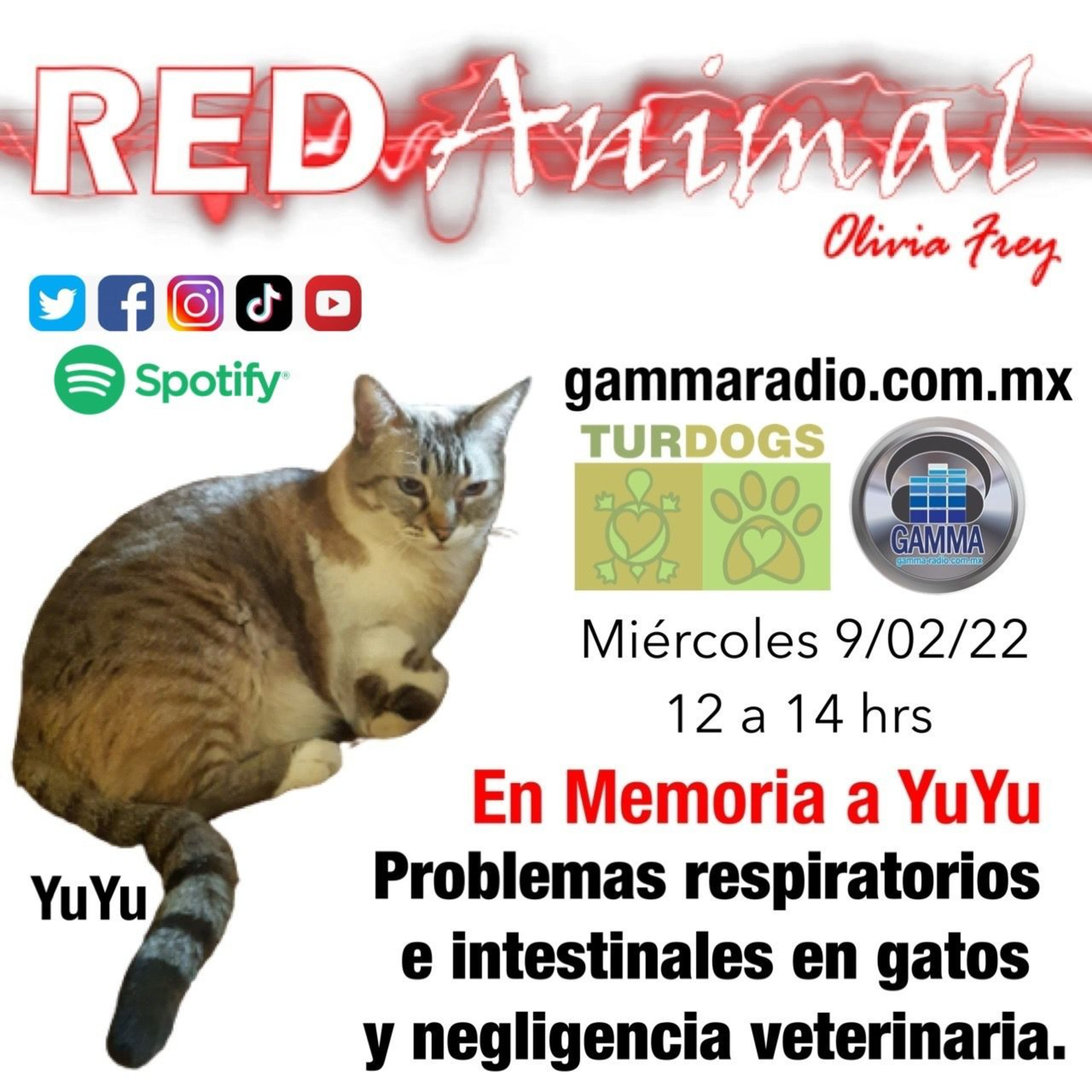 RED ANIMAL CON OLIVIA FREY