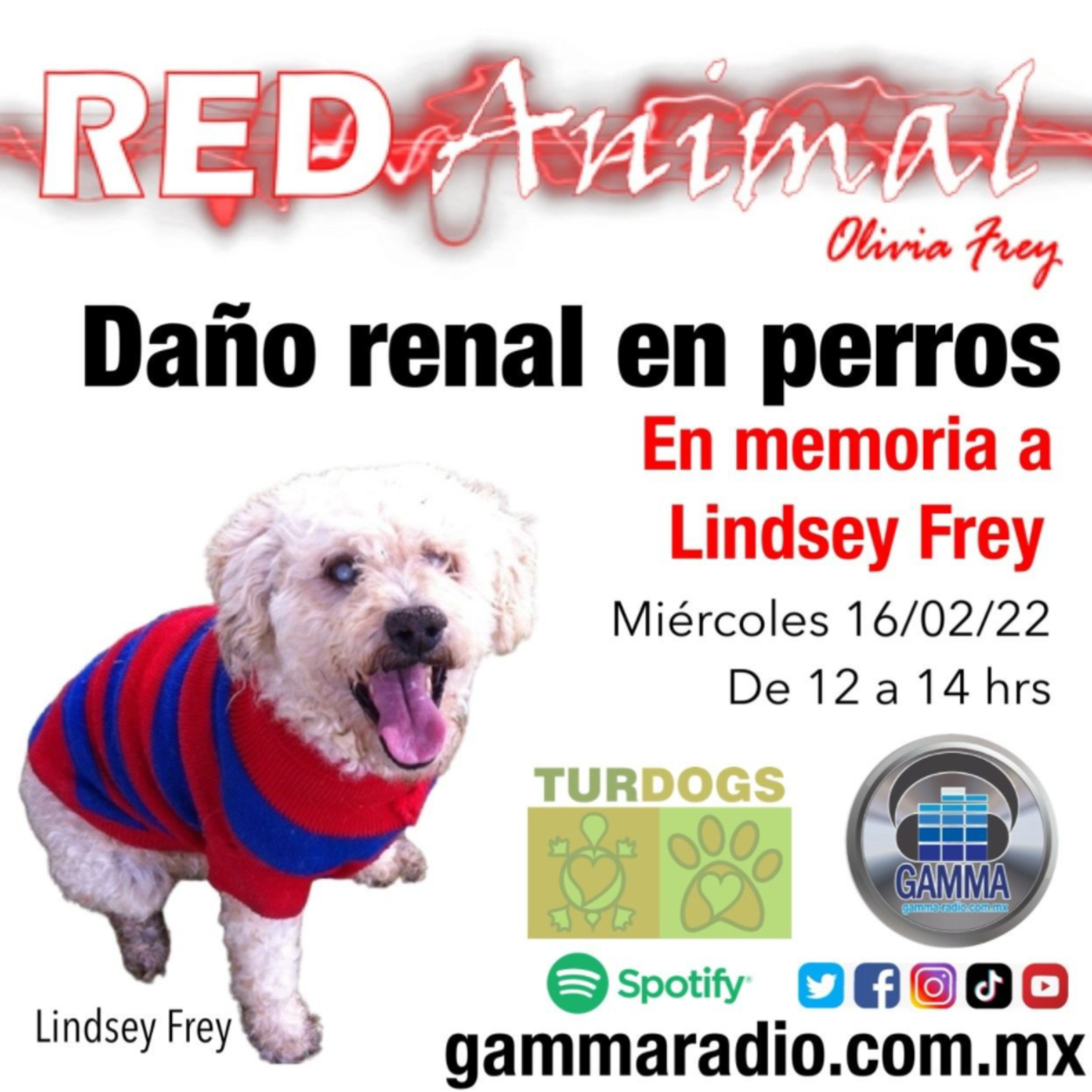 RED ANIMAL CON OLIVIA FREY