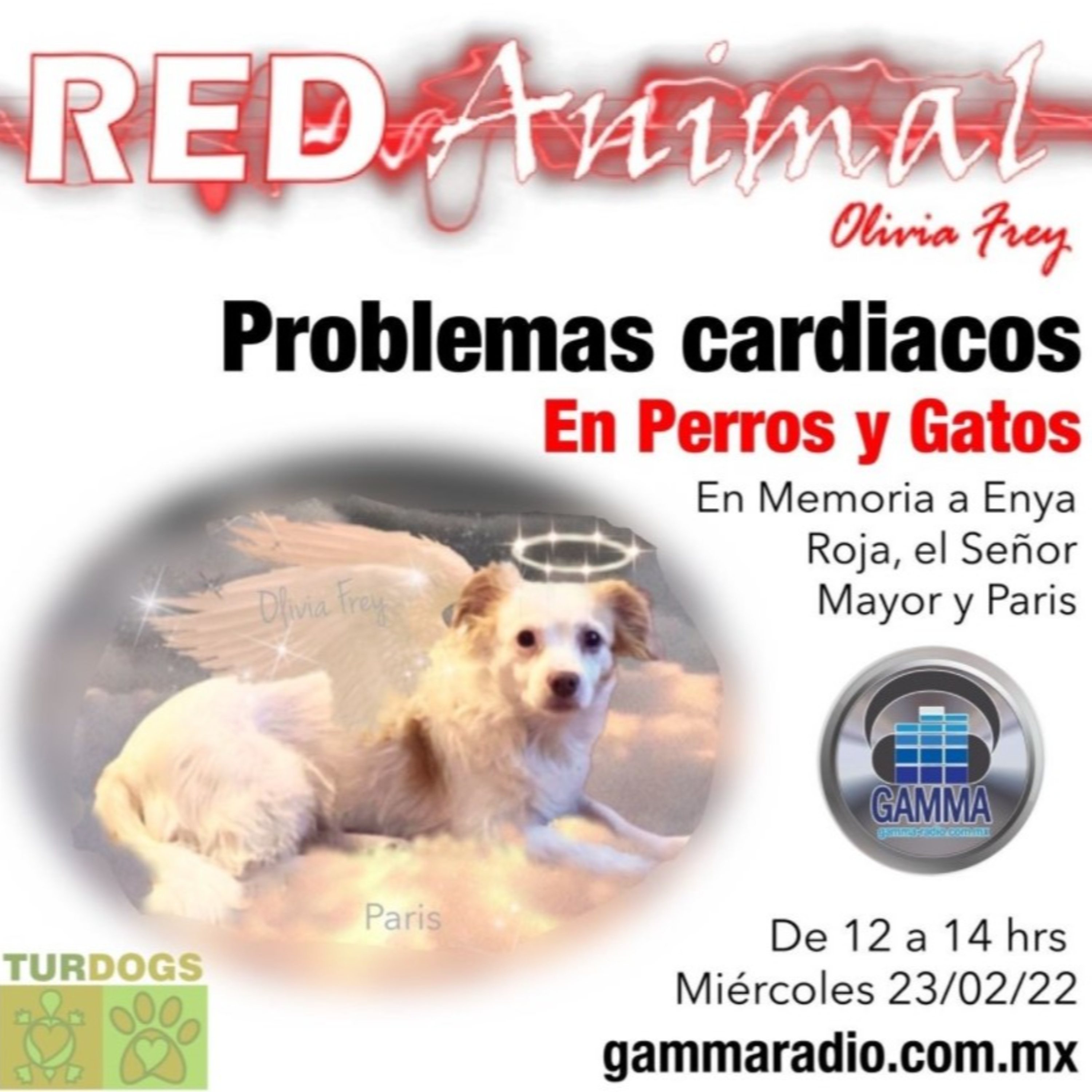 RED ANIMAL CON OLIVIA FREY