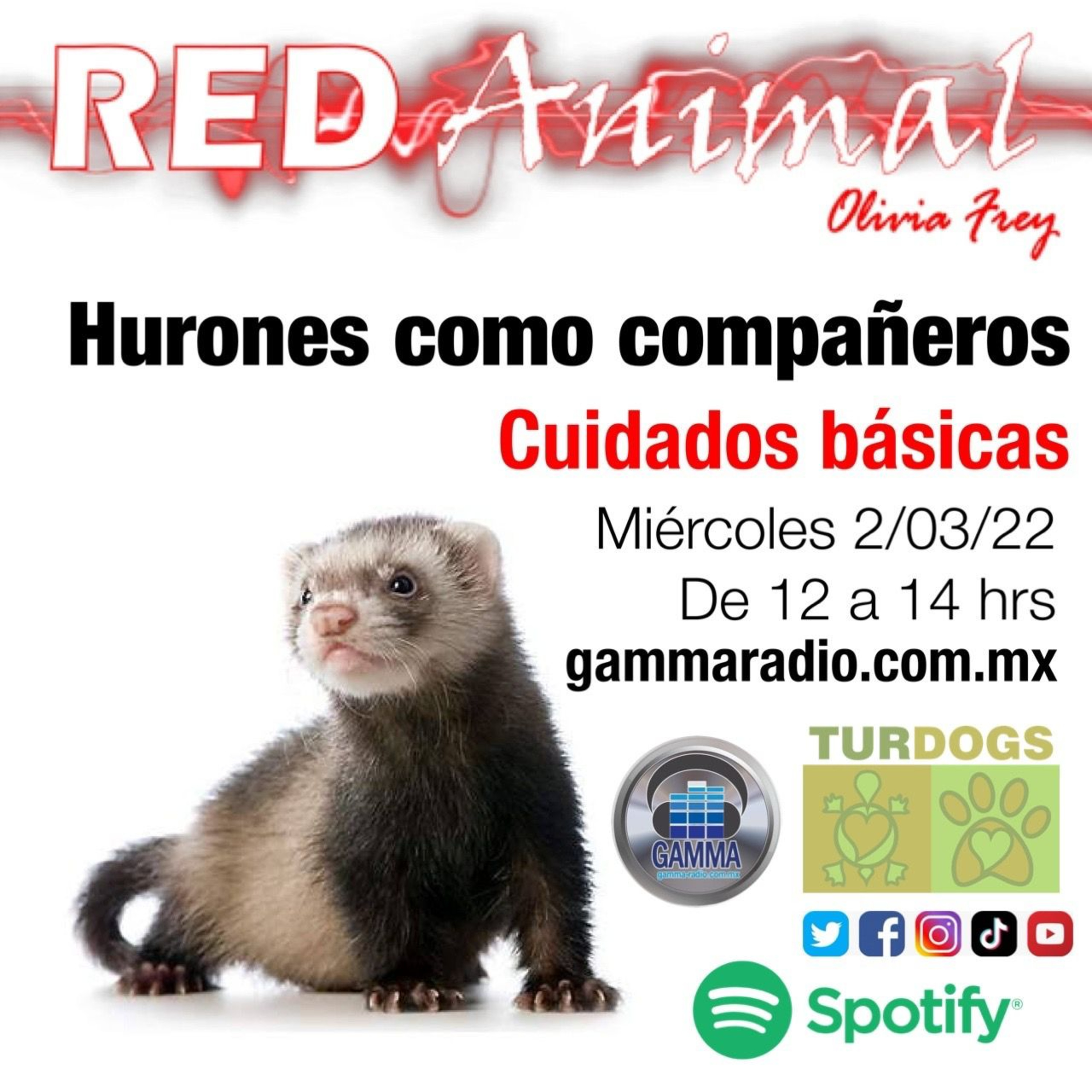RED ANIMAL CON OLIVIA FREY