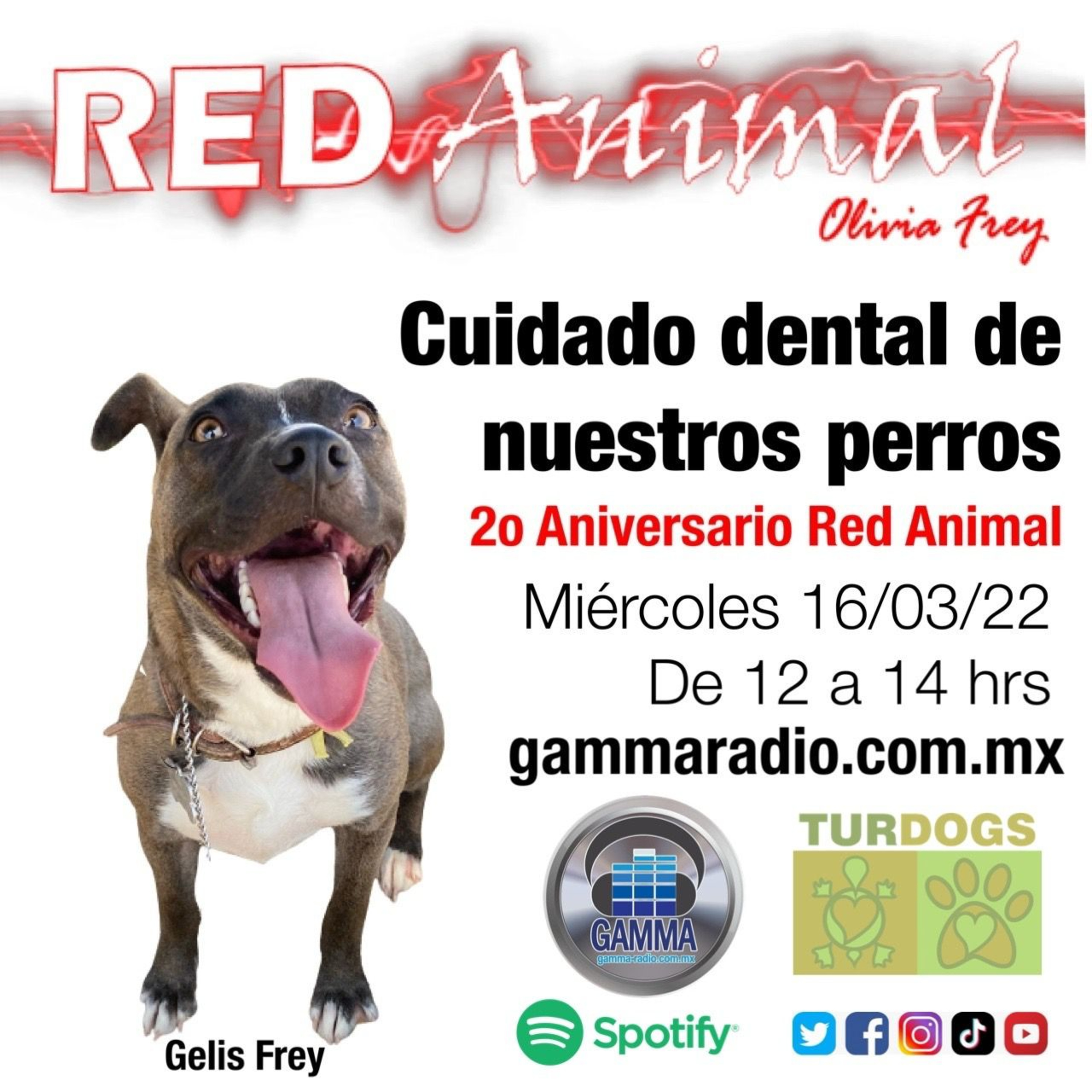 RED ANIMAL CON OLIVIA FREY