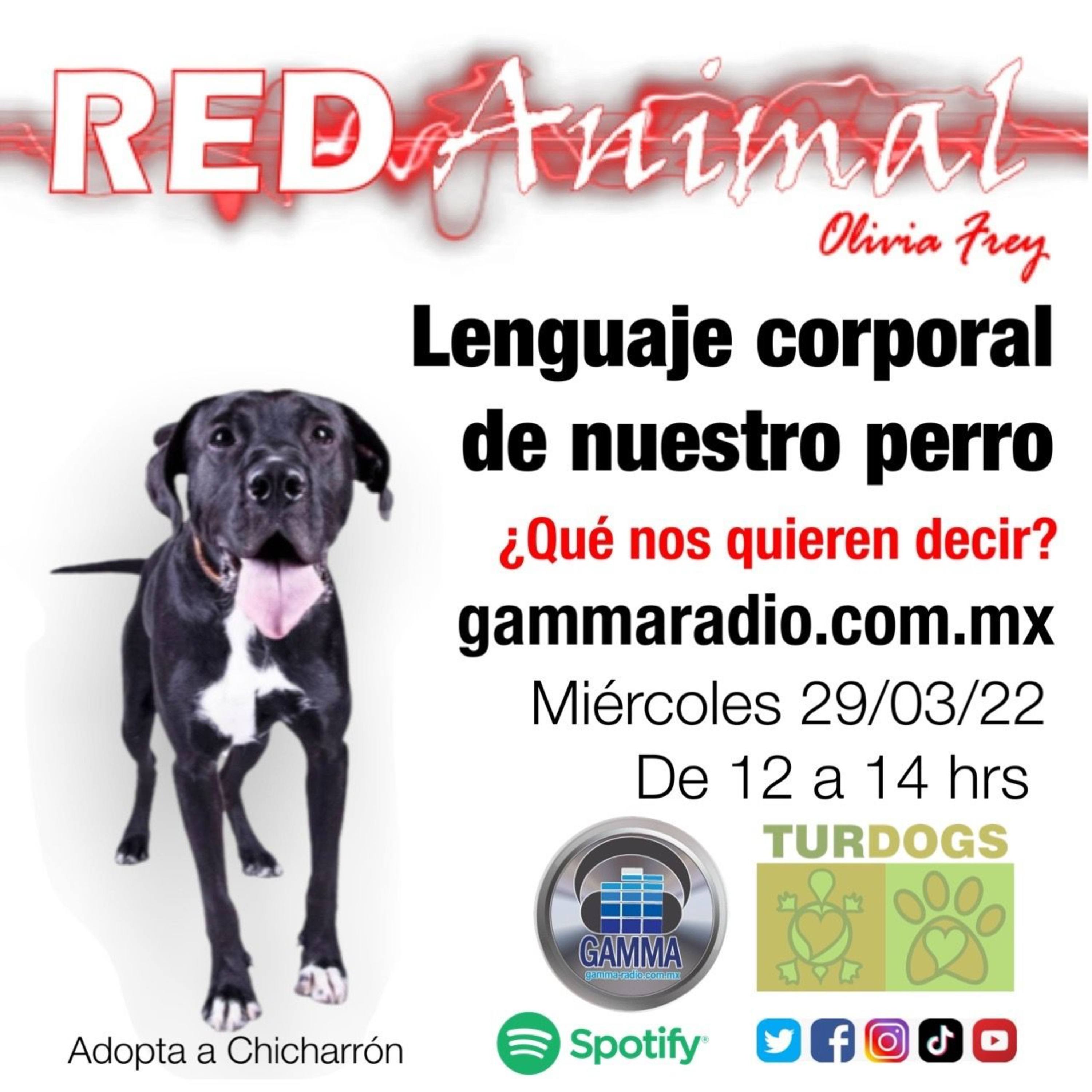 RED ANIMAL CON OLIVIA FREY
