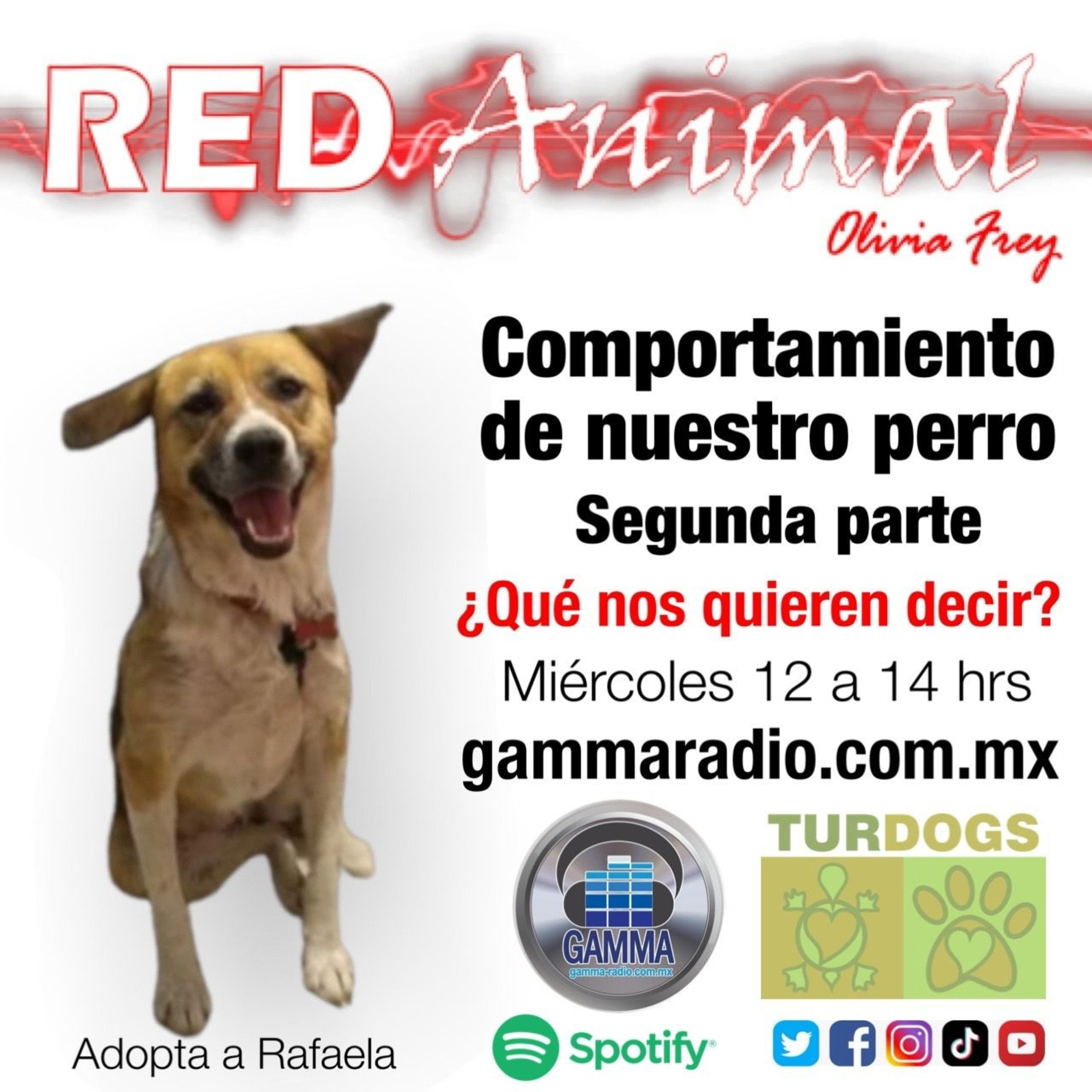 RED ANIMAL CON OLIVIA FREY