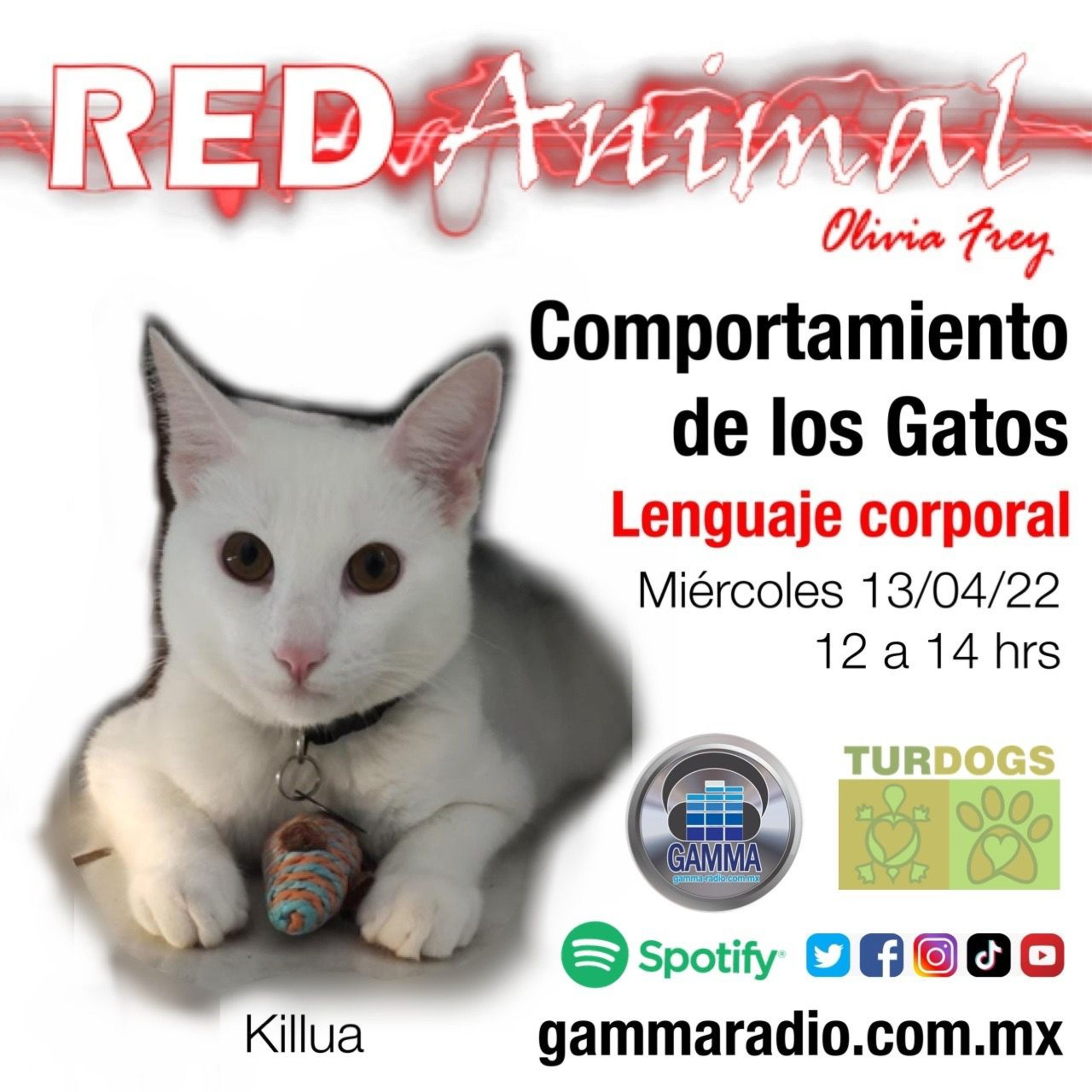 RED ANIMAL CON OLIVIA FREY