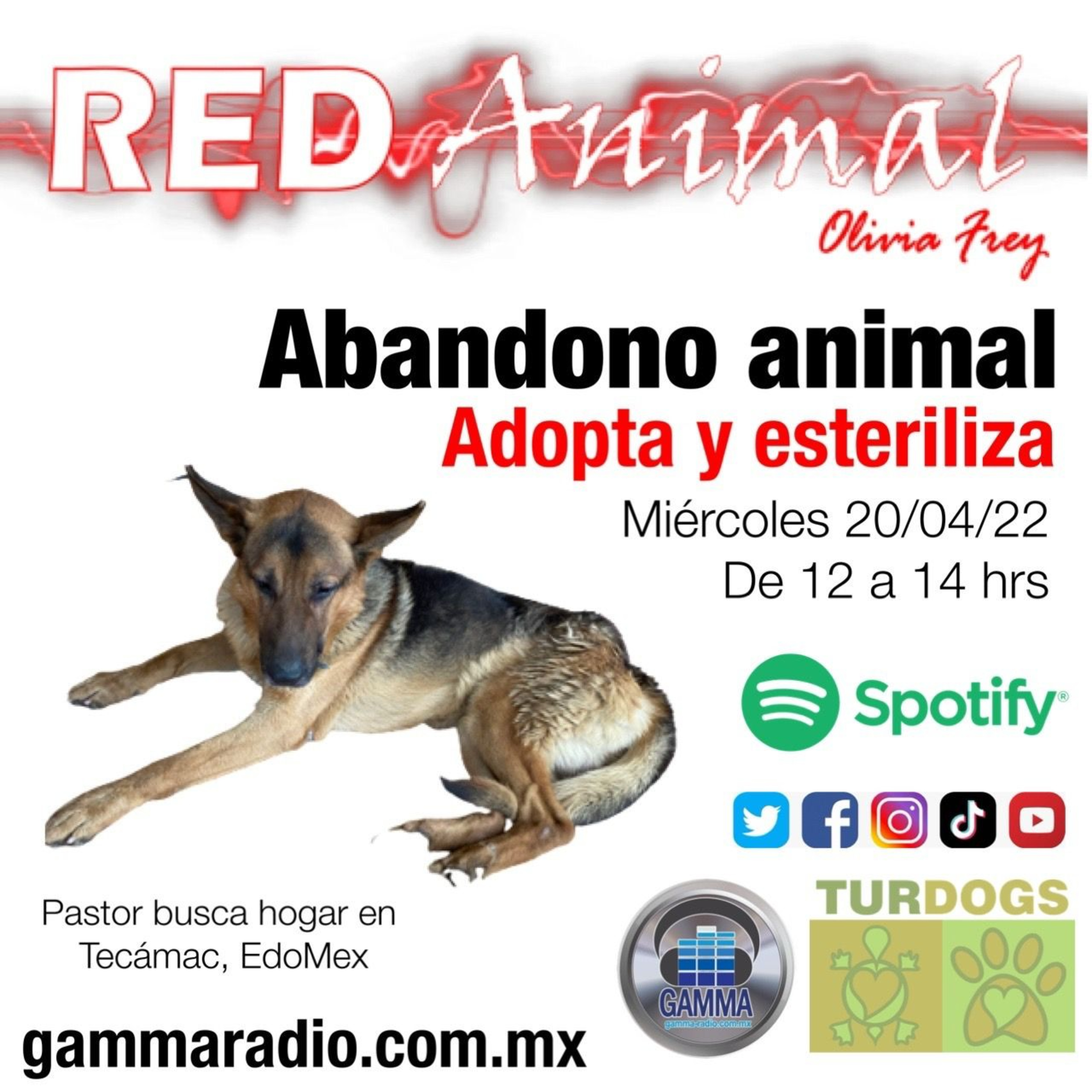 RED ANIMAL CON OLIVIA FREY