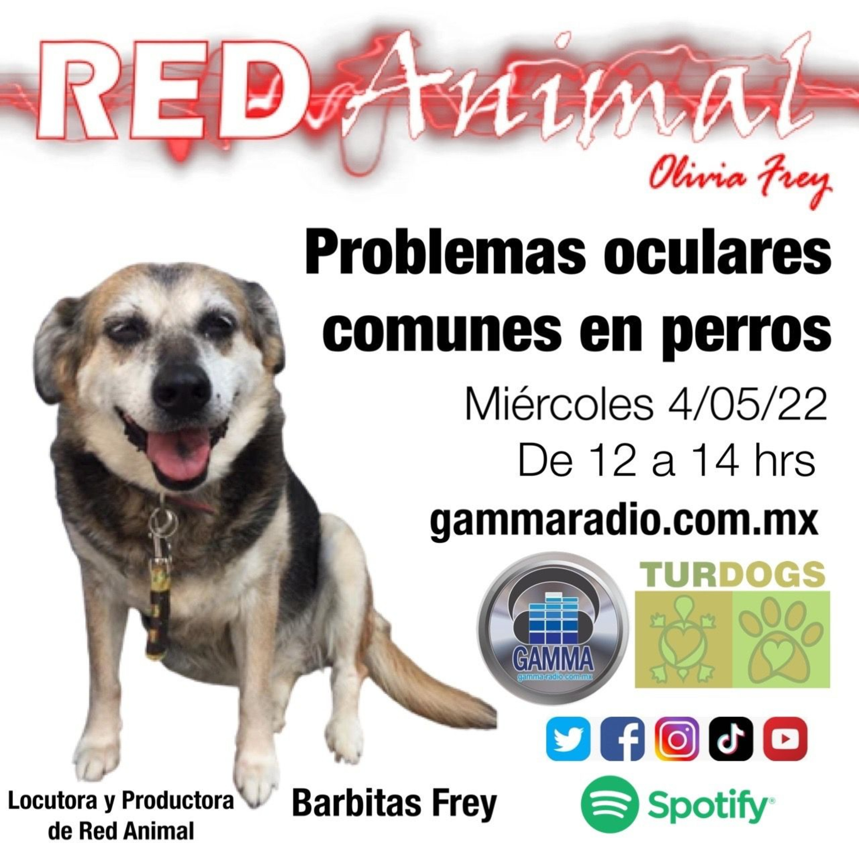 RED ANIMAL CON OLIVIA FREY
