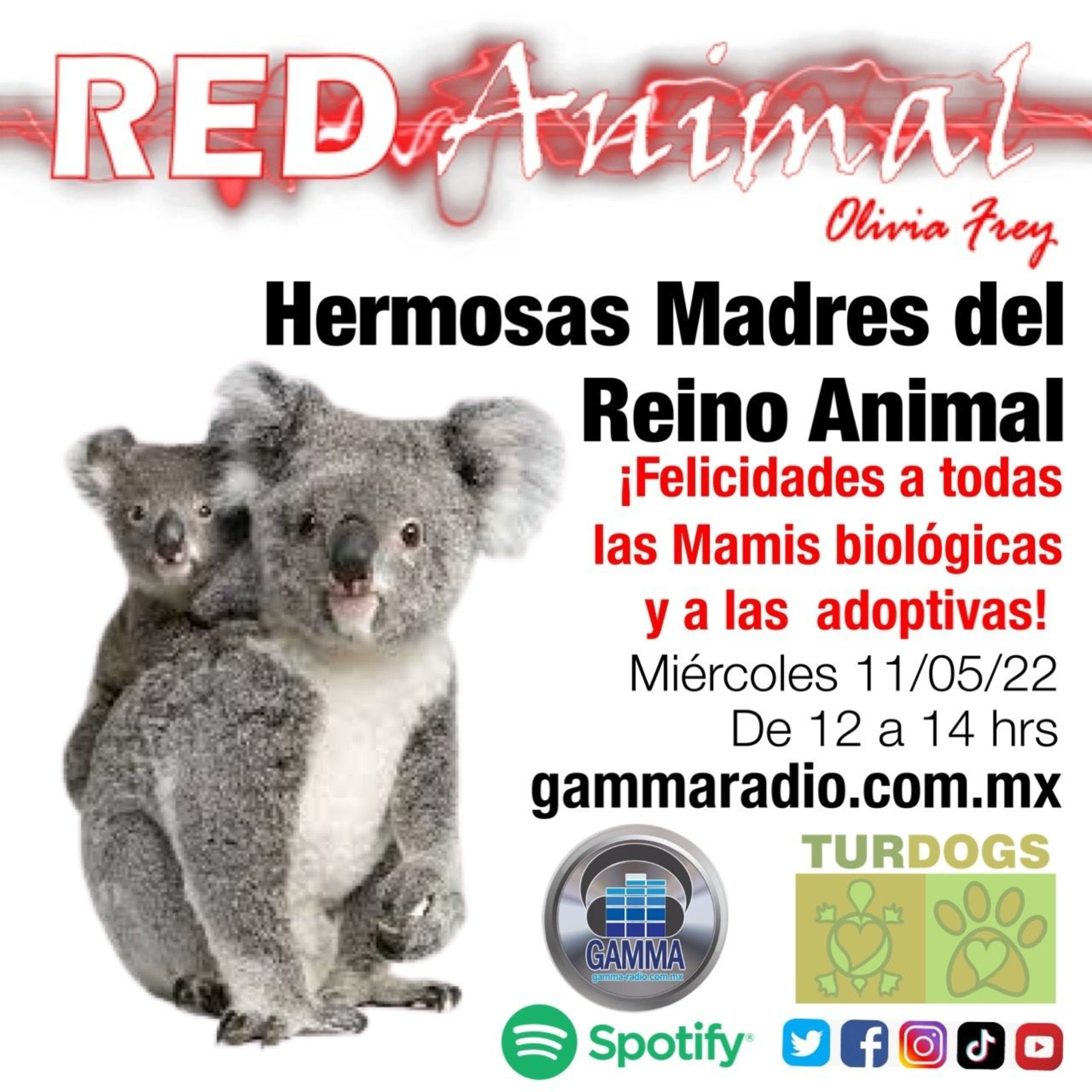 RED ANIMAL CON OLIVIA FREY