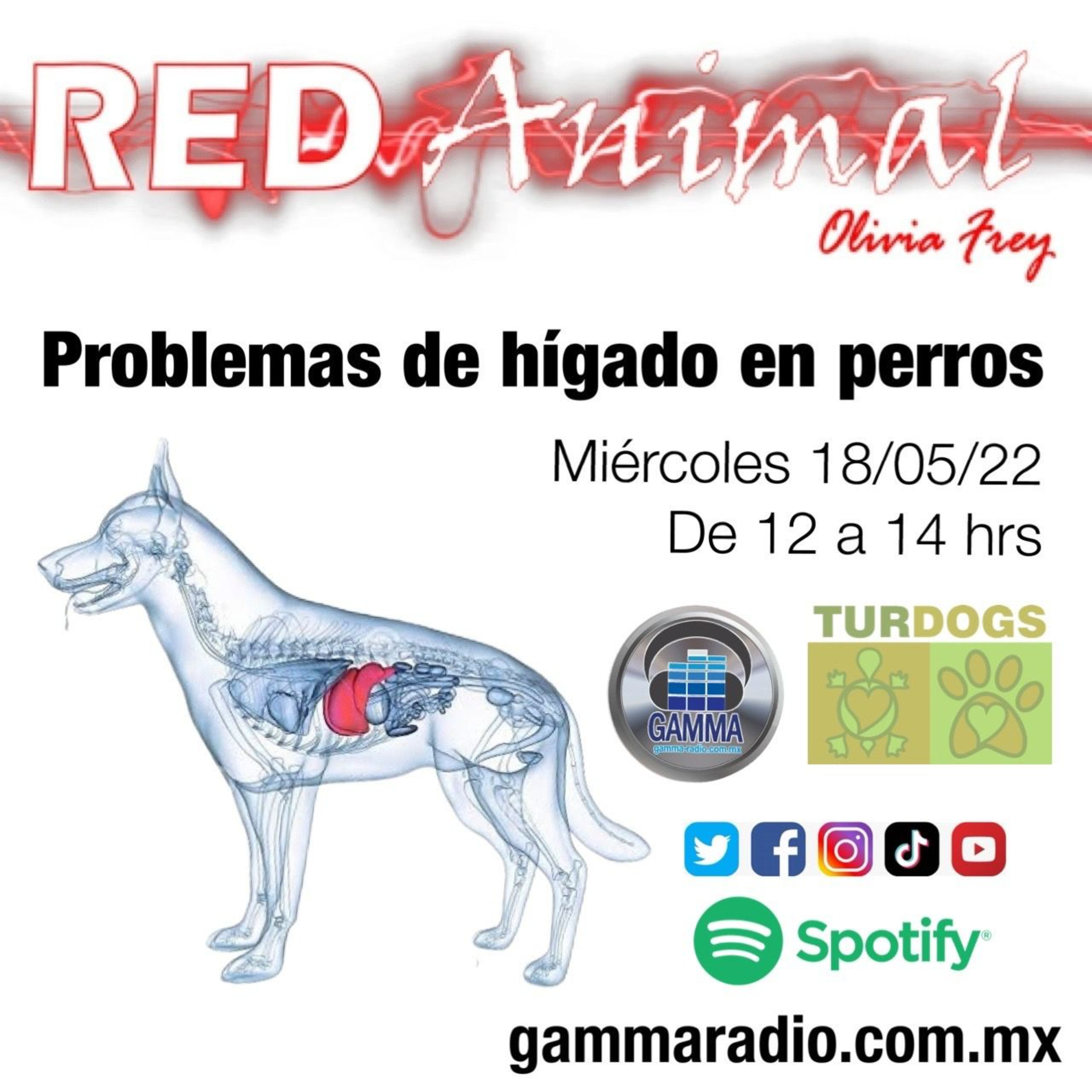RED ANIMAL CON OLIVIA FREY