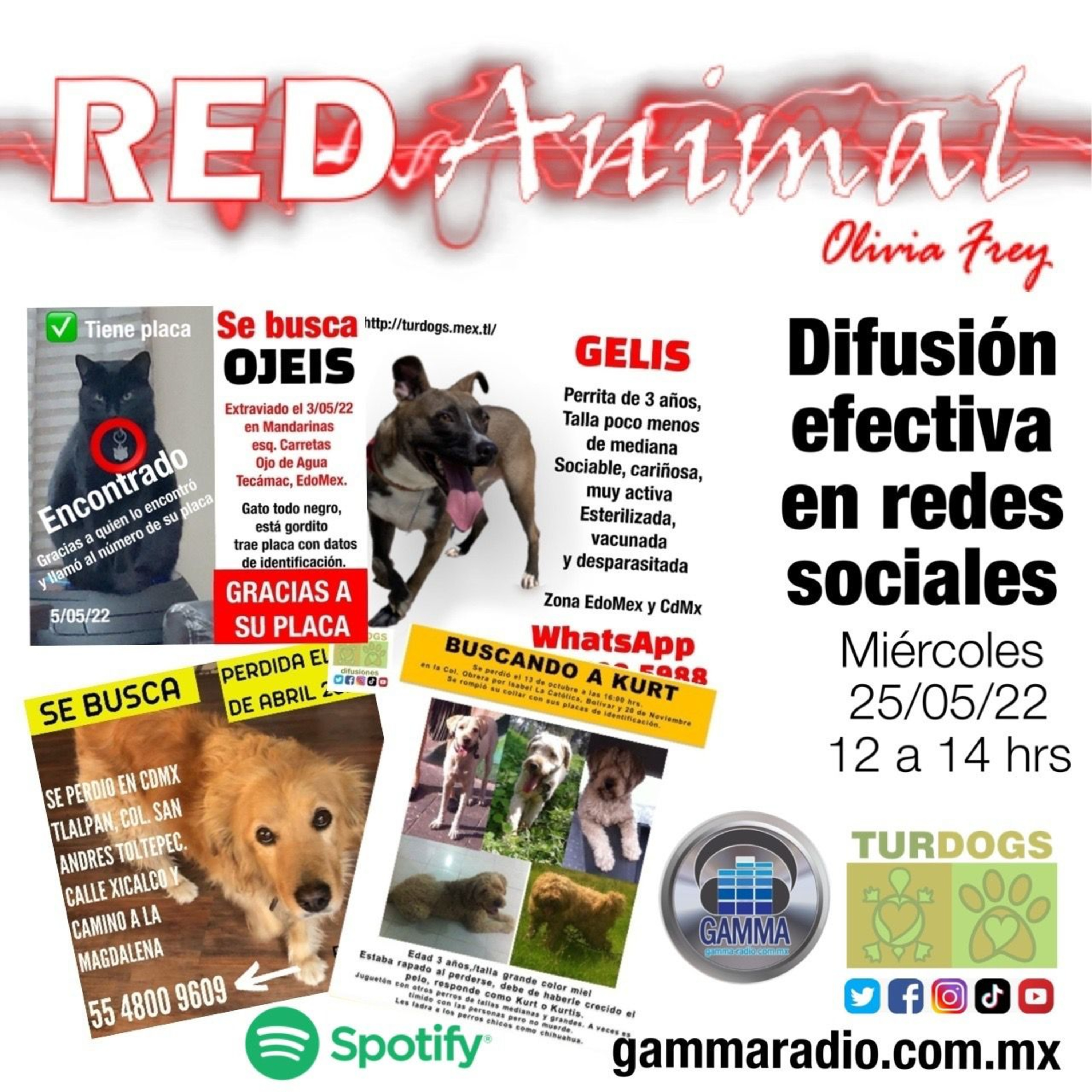 RED ANIMAL CON OLIVIA FREY