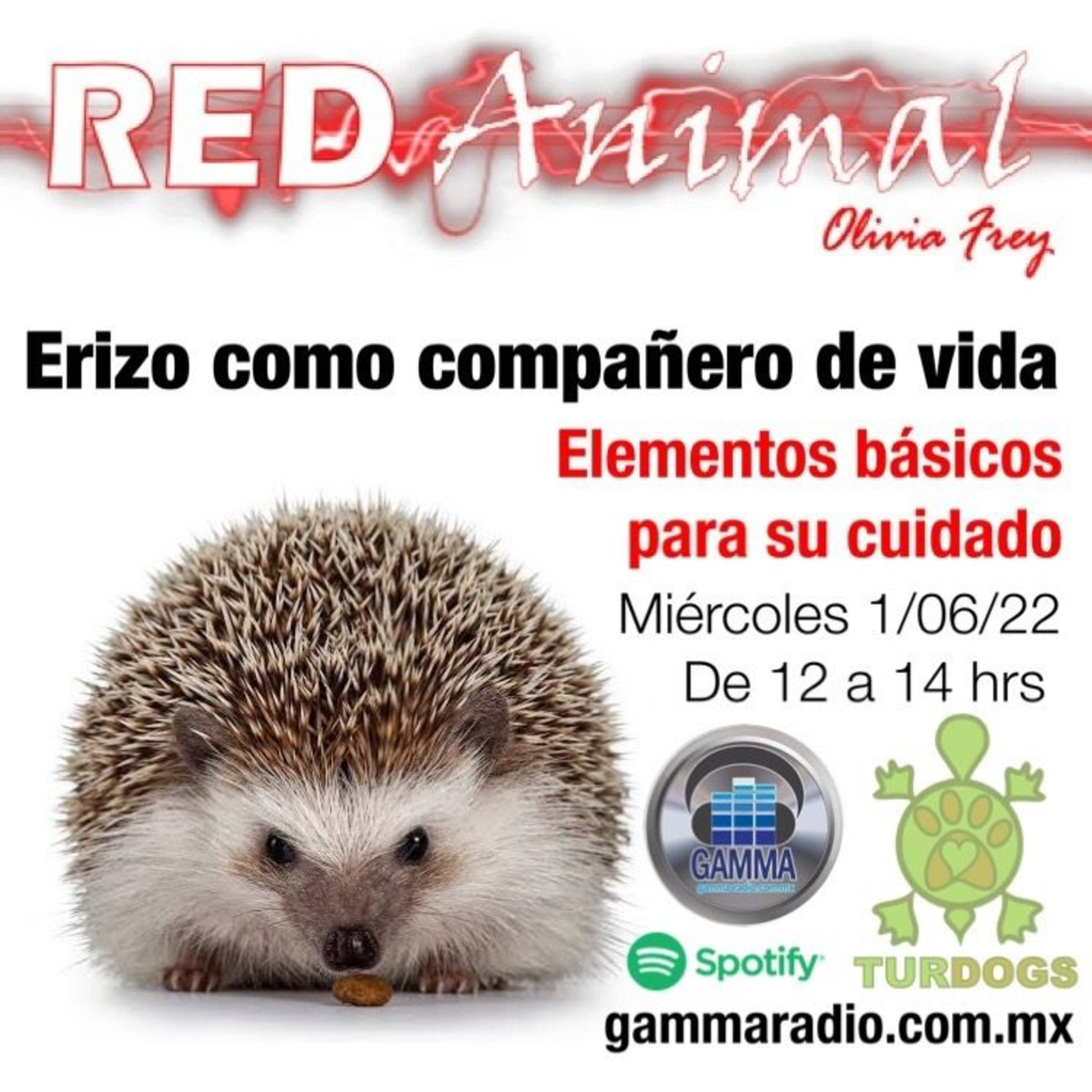RED ANIMAL CON OLIVIA FREY