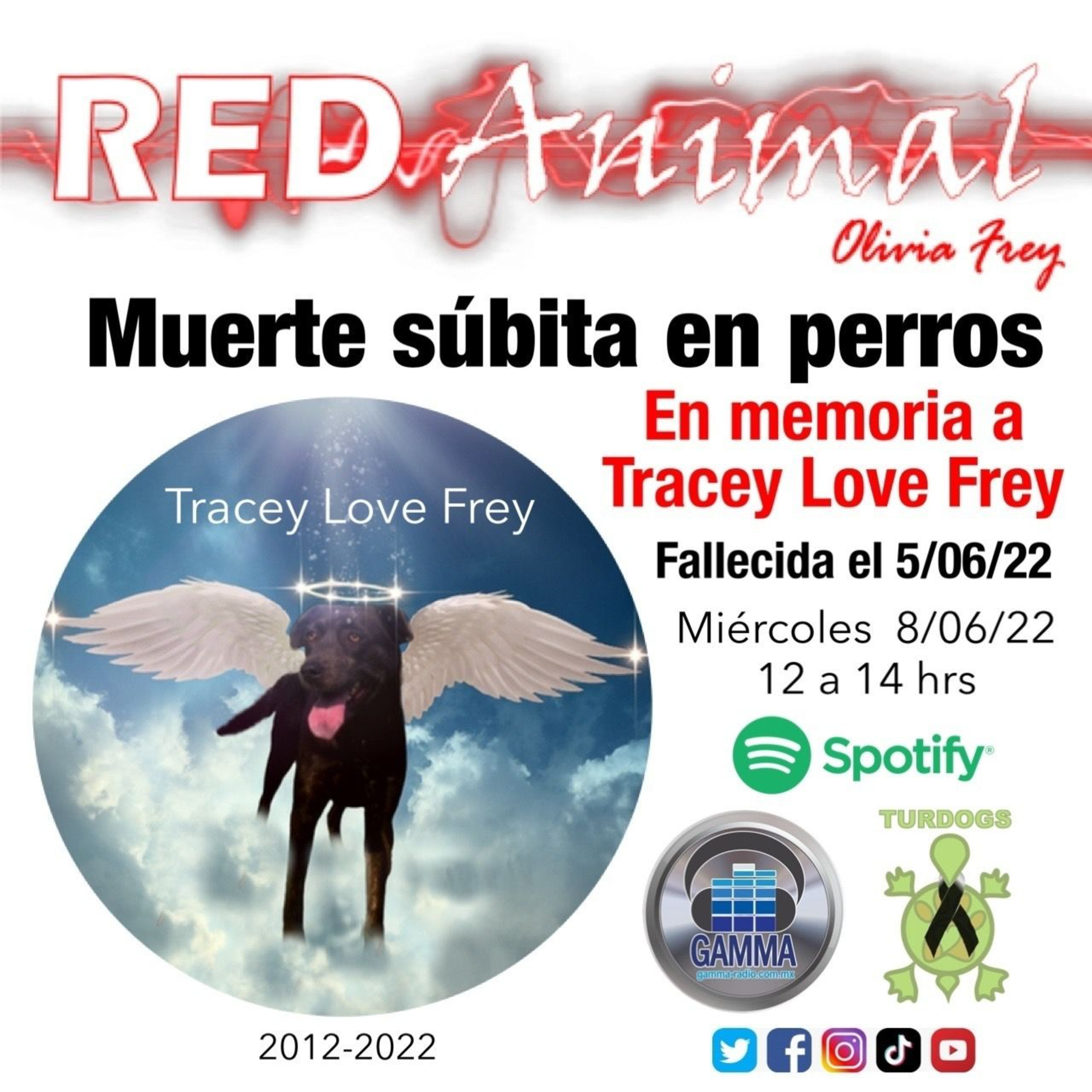 RED ANIMAL CON OLIVIA FREY