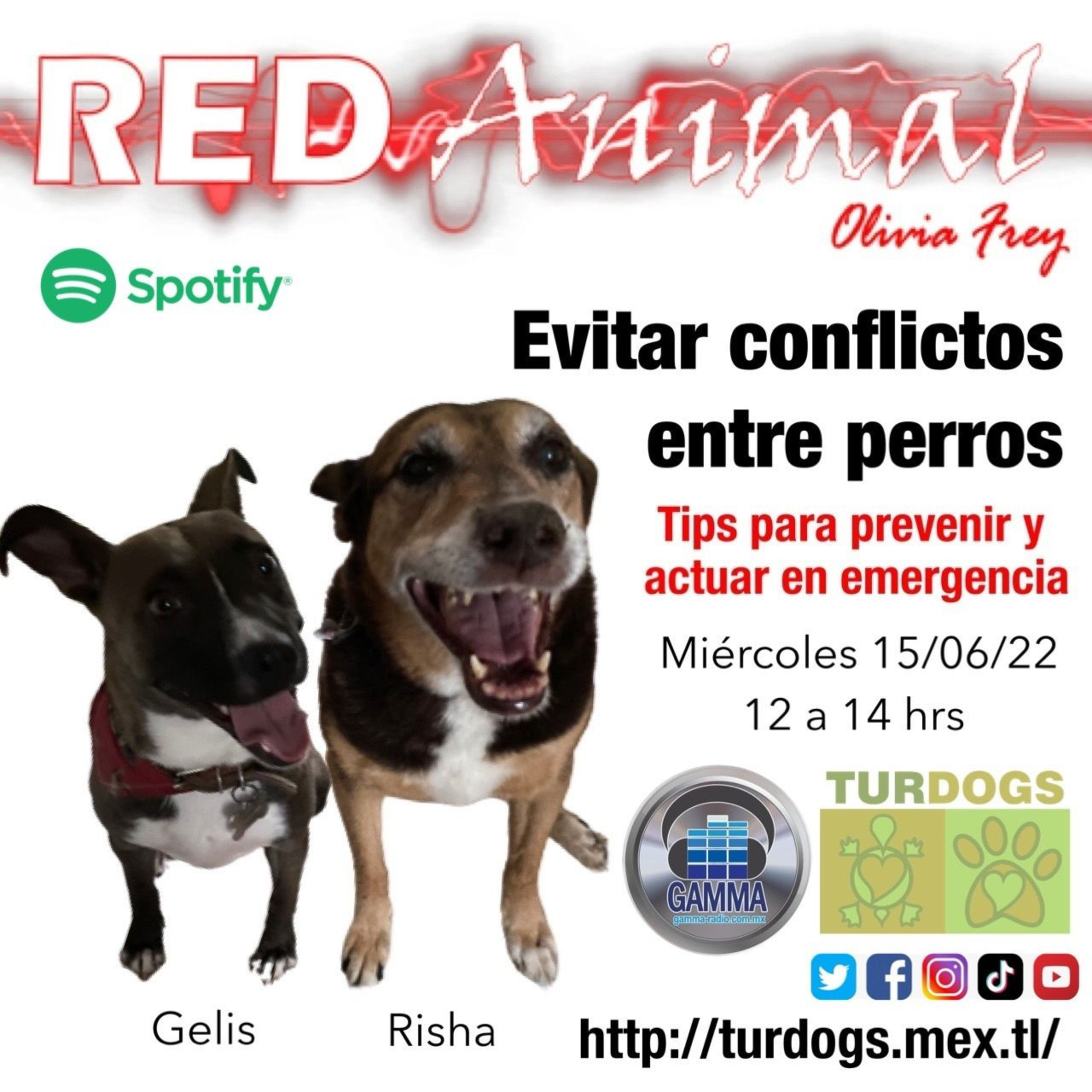 RED ANIMAL CON OLIVIA FREY
