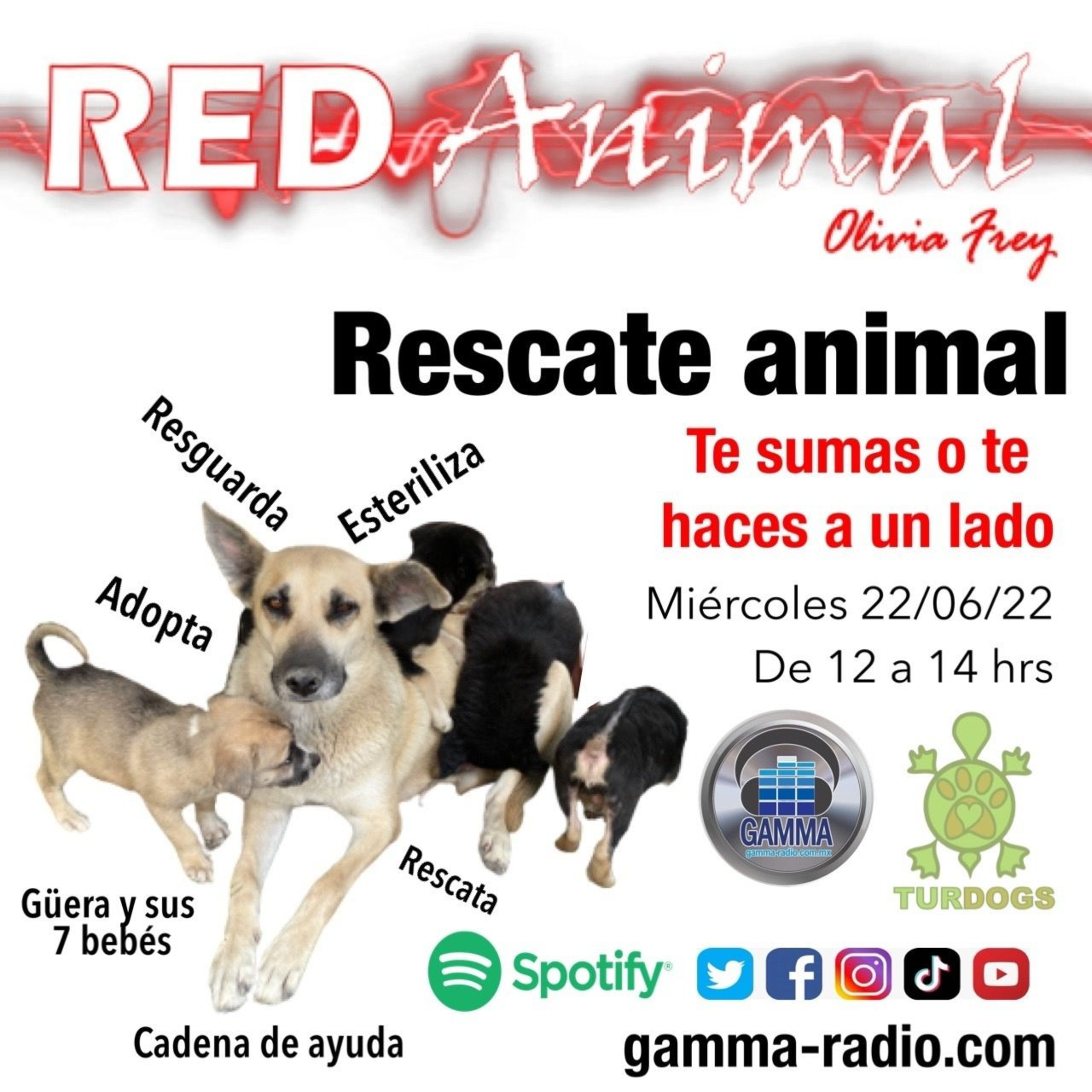 RED ANIMAL CON OLIVIA FREY