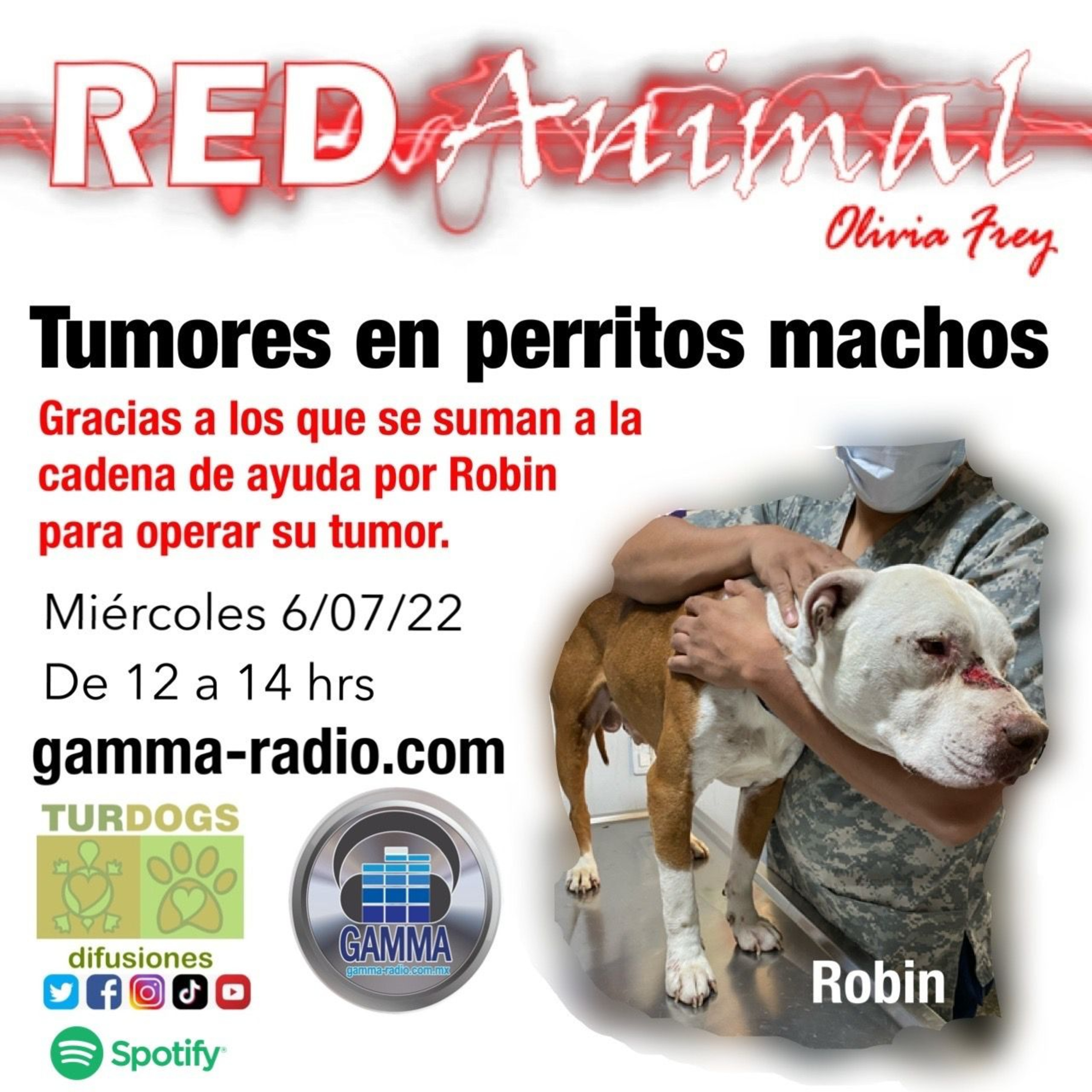 RED ANIMAL CON OLIVIA FREY