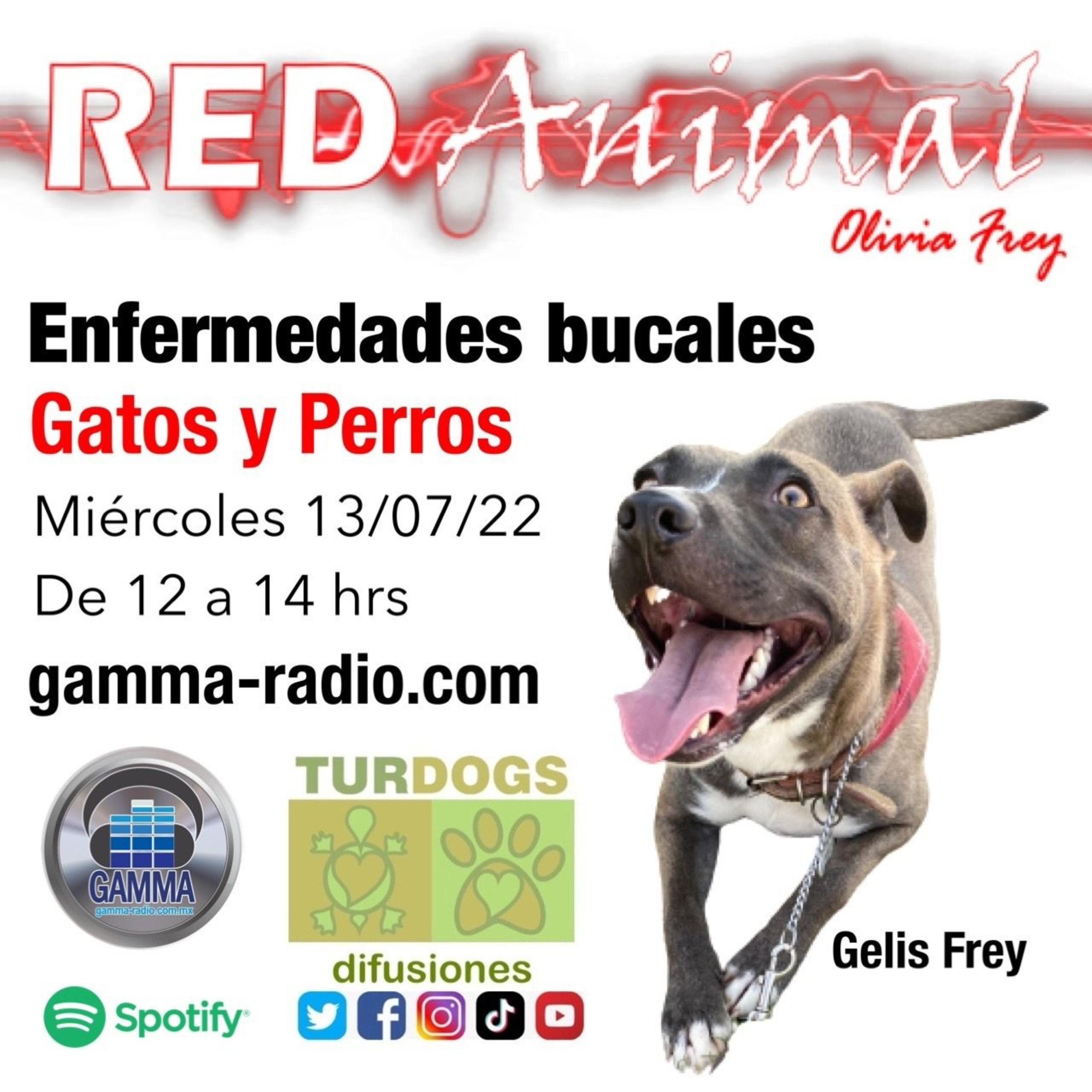 RED ANIMAL CON OLIVIA FREY