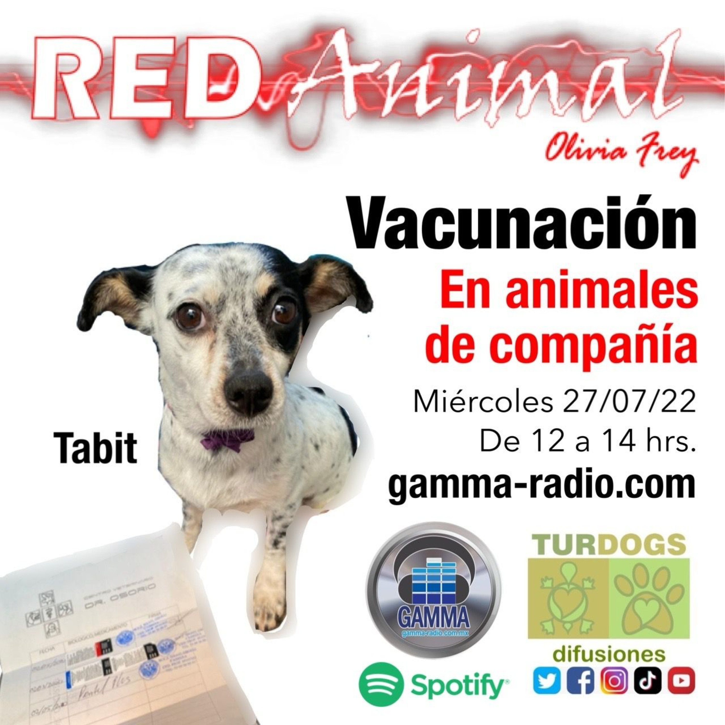 RED ANIMAL CON OLIVIA FREY