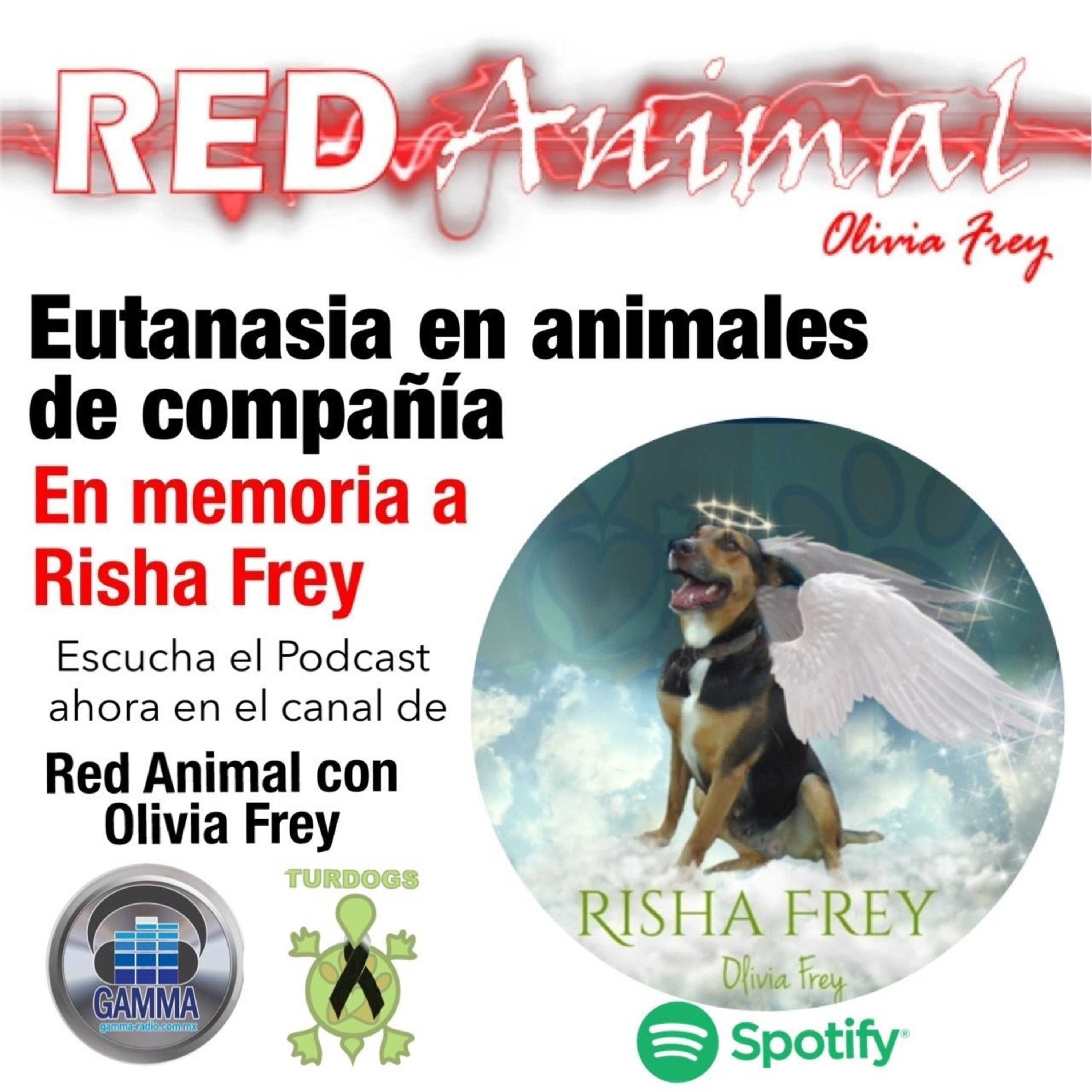 RED ANIMAL CON OLIVIA FREY