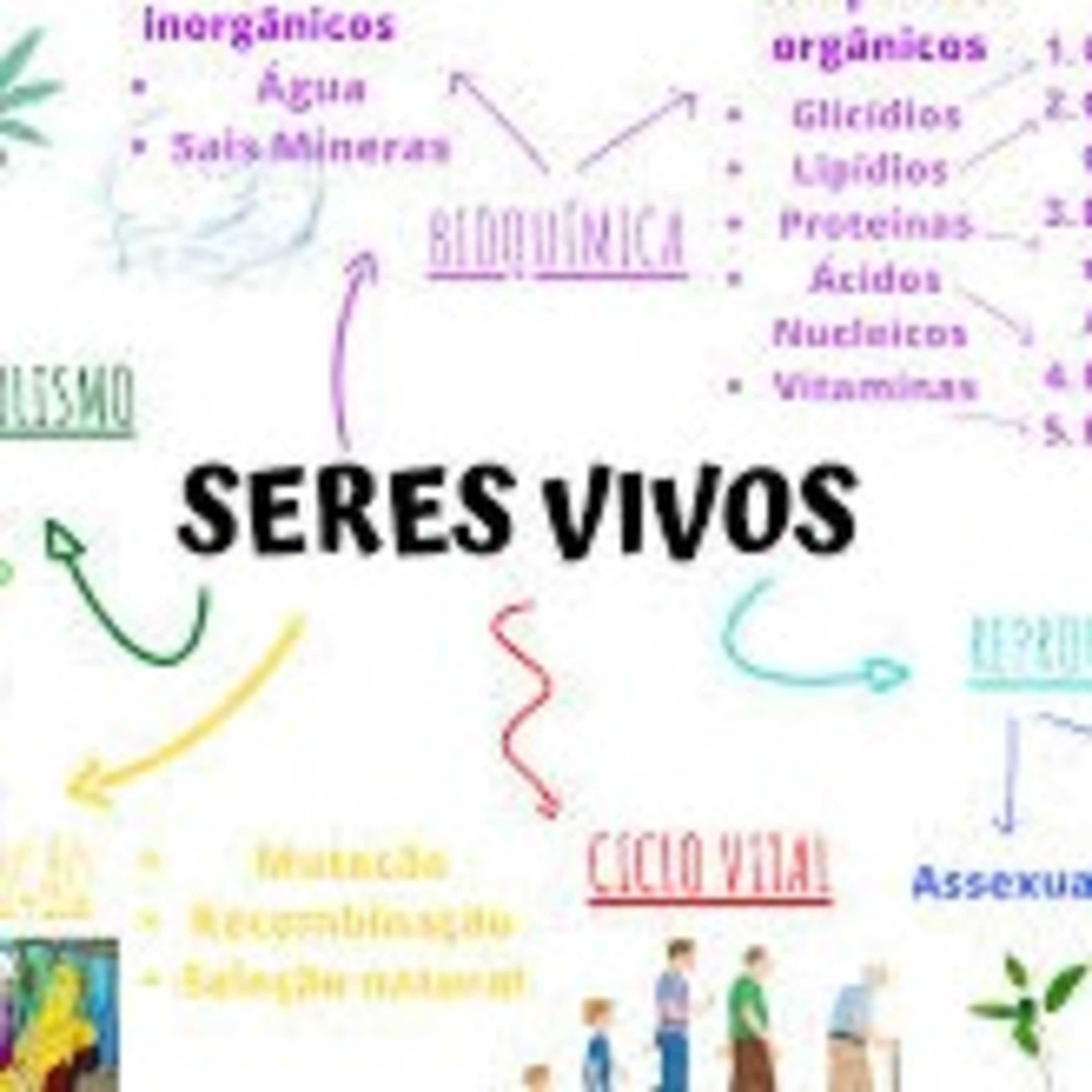Patrimonialismo
