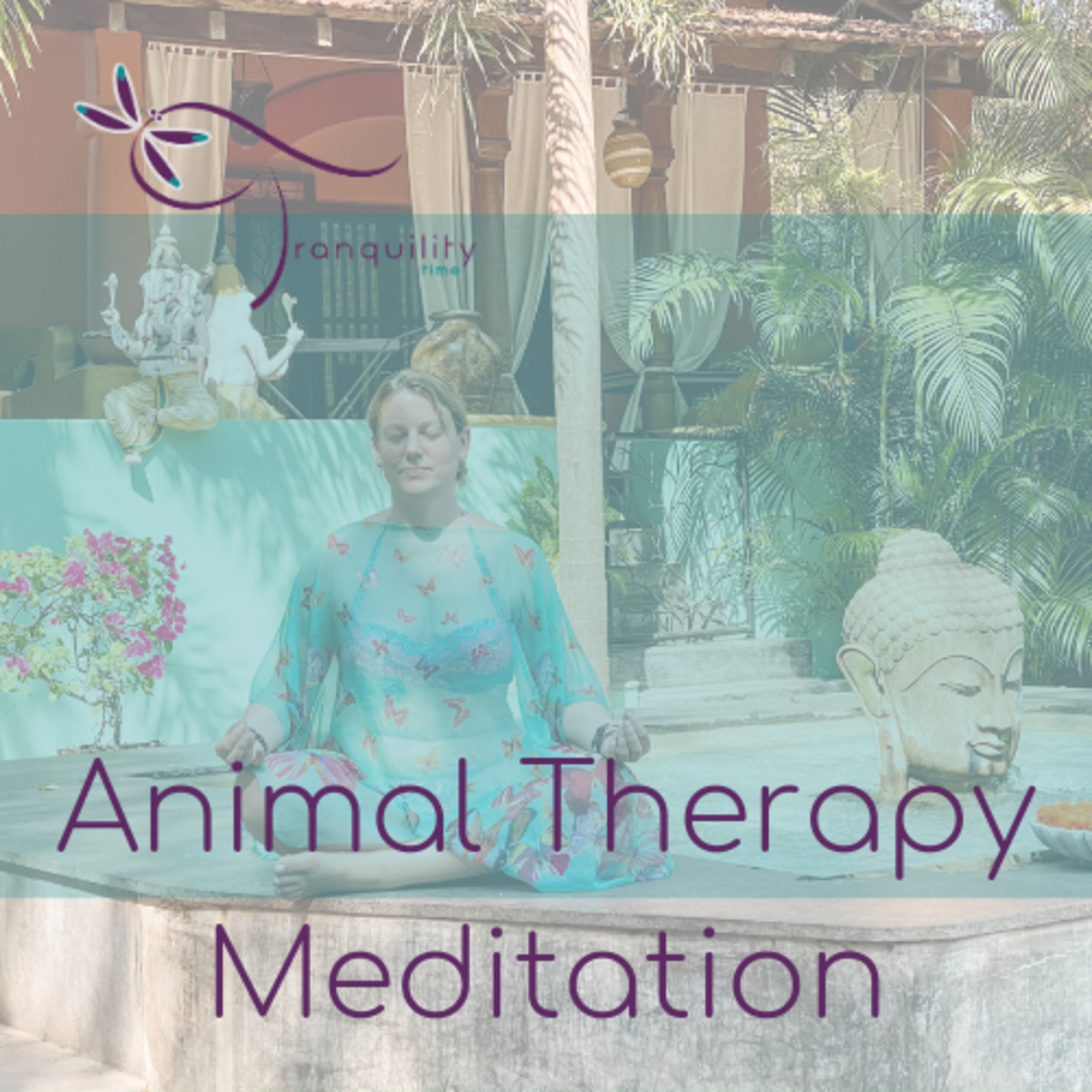 Time for Tranquility